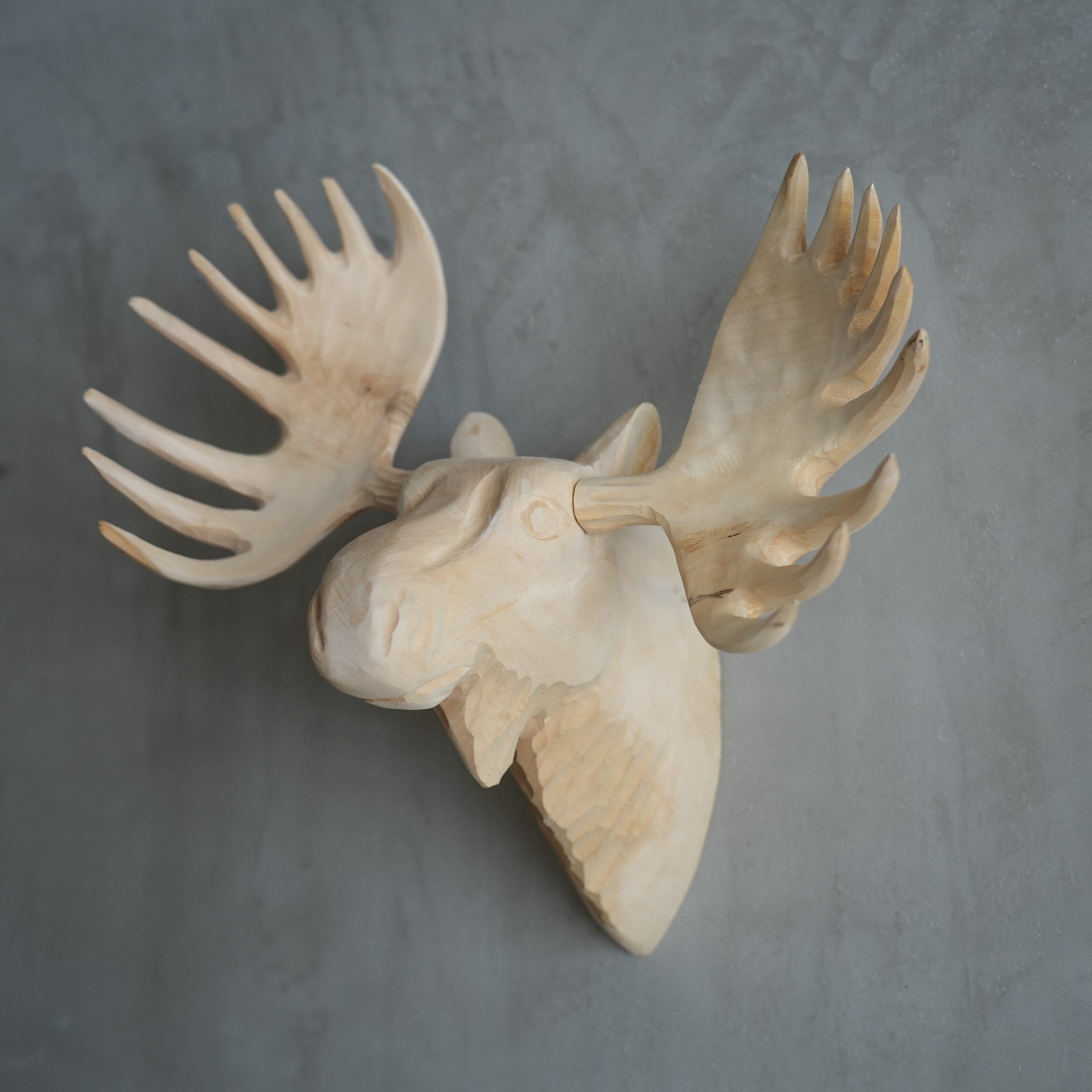 Wood Animal Head / Moose