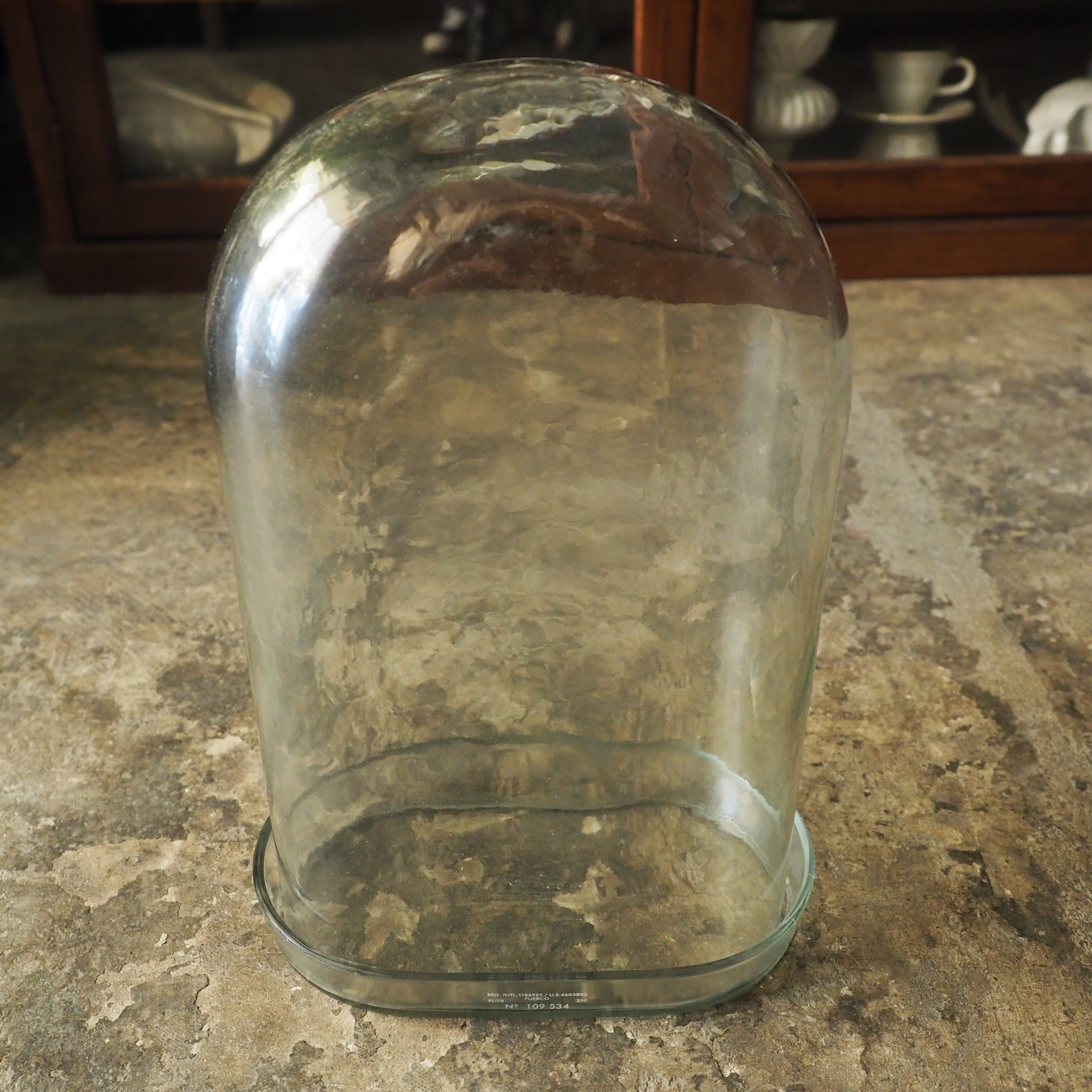 DISPLAY GLASS DOME