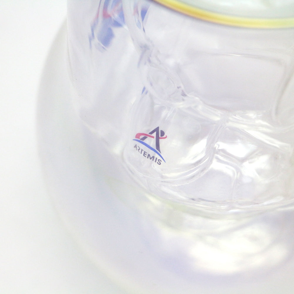 NASA Astronaut Double Wall Glasses 2P SET