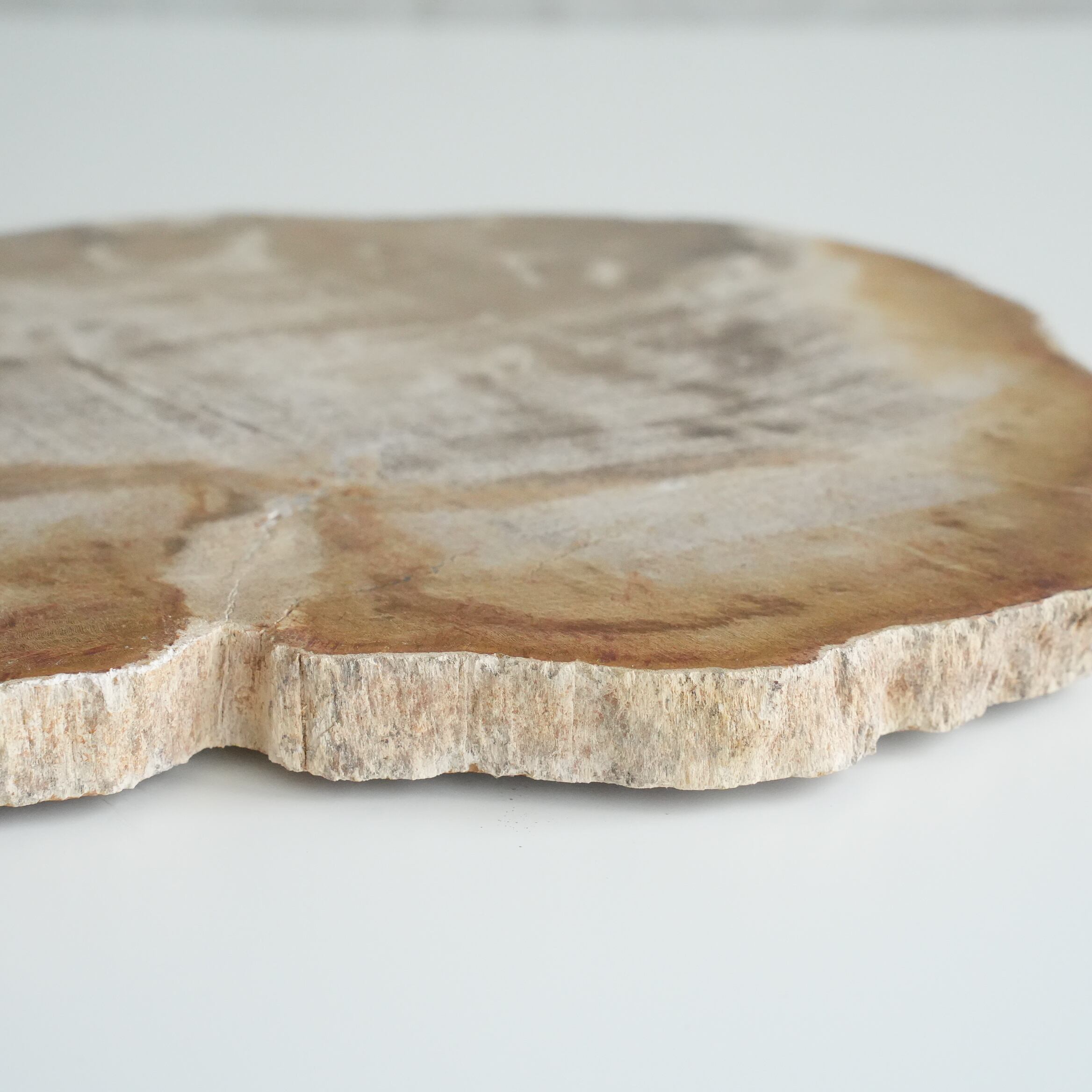 Wood Plate 20 Natural　C