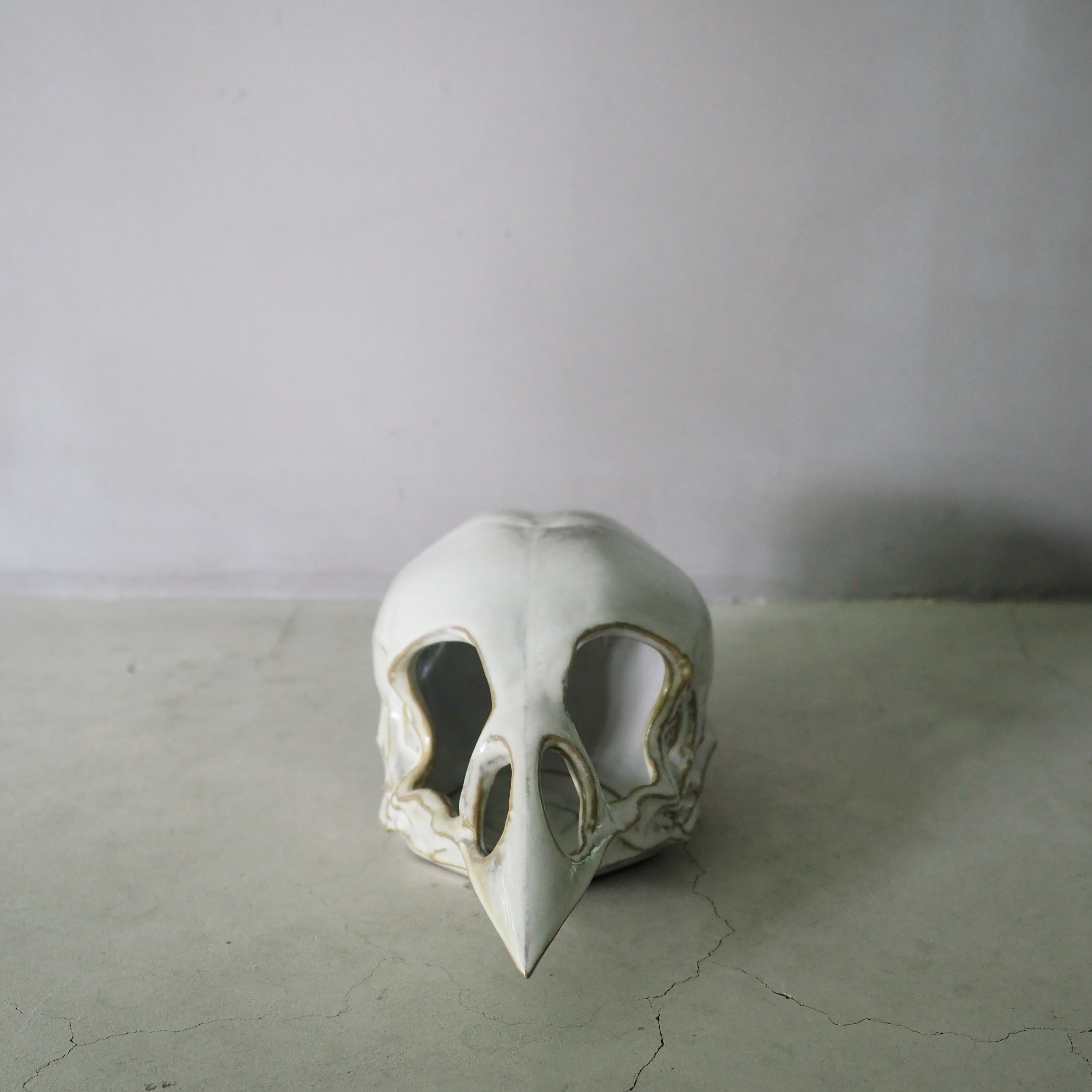 Bird Skull Eye Socket BSK-001