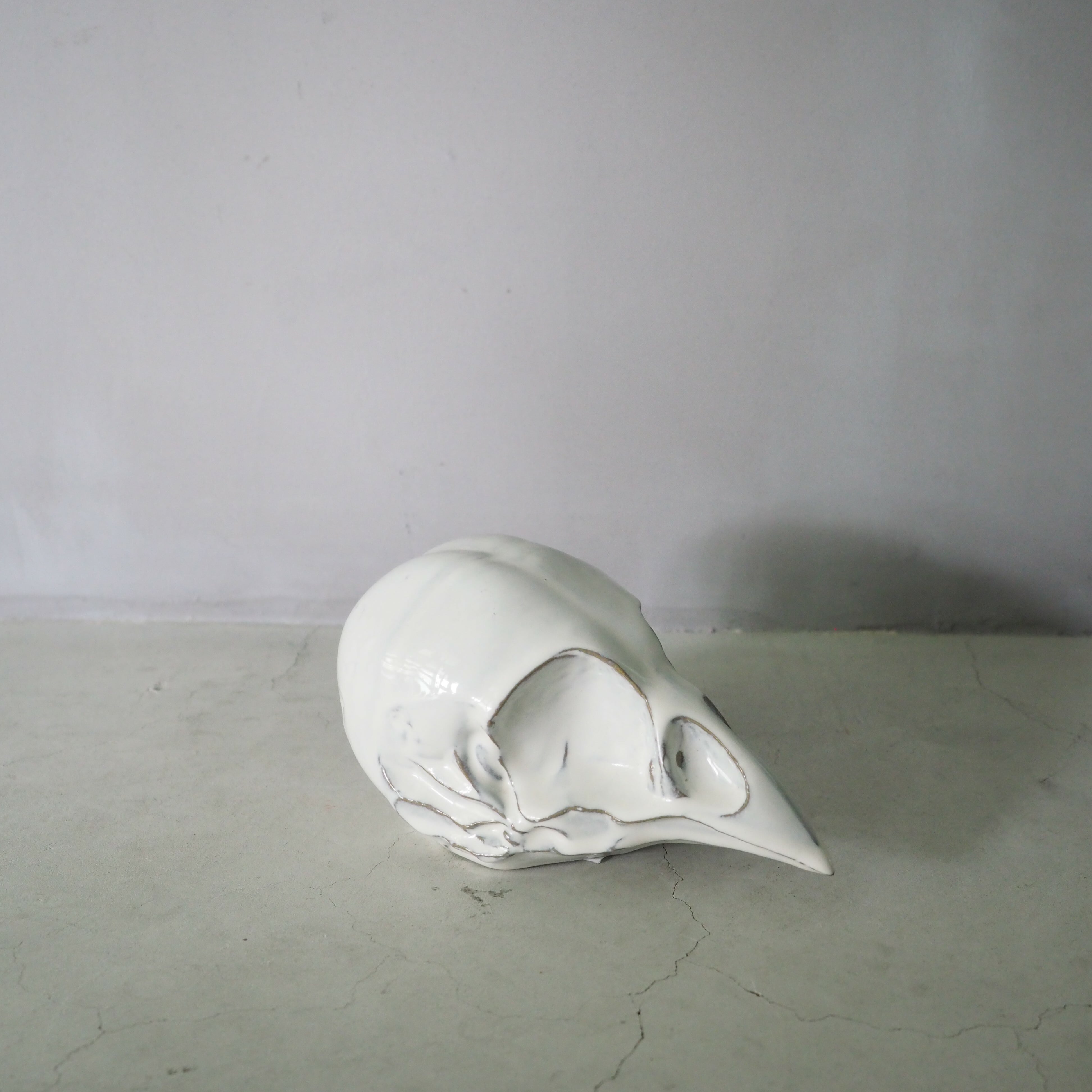 Bird Skull BSK-002-05