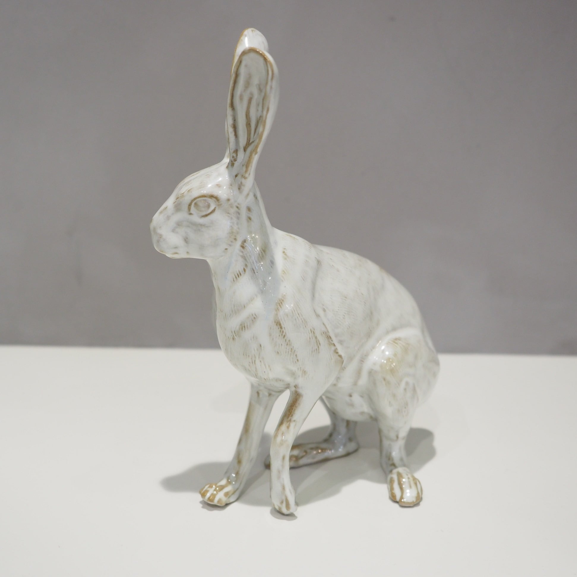 Hare PP-022