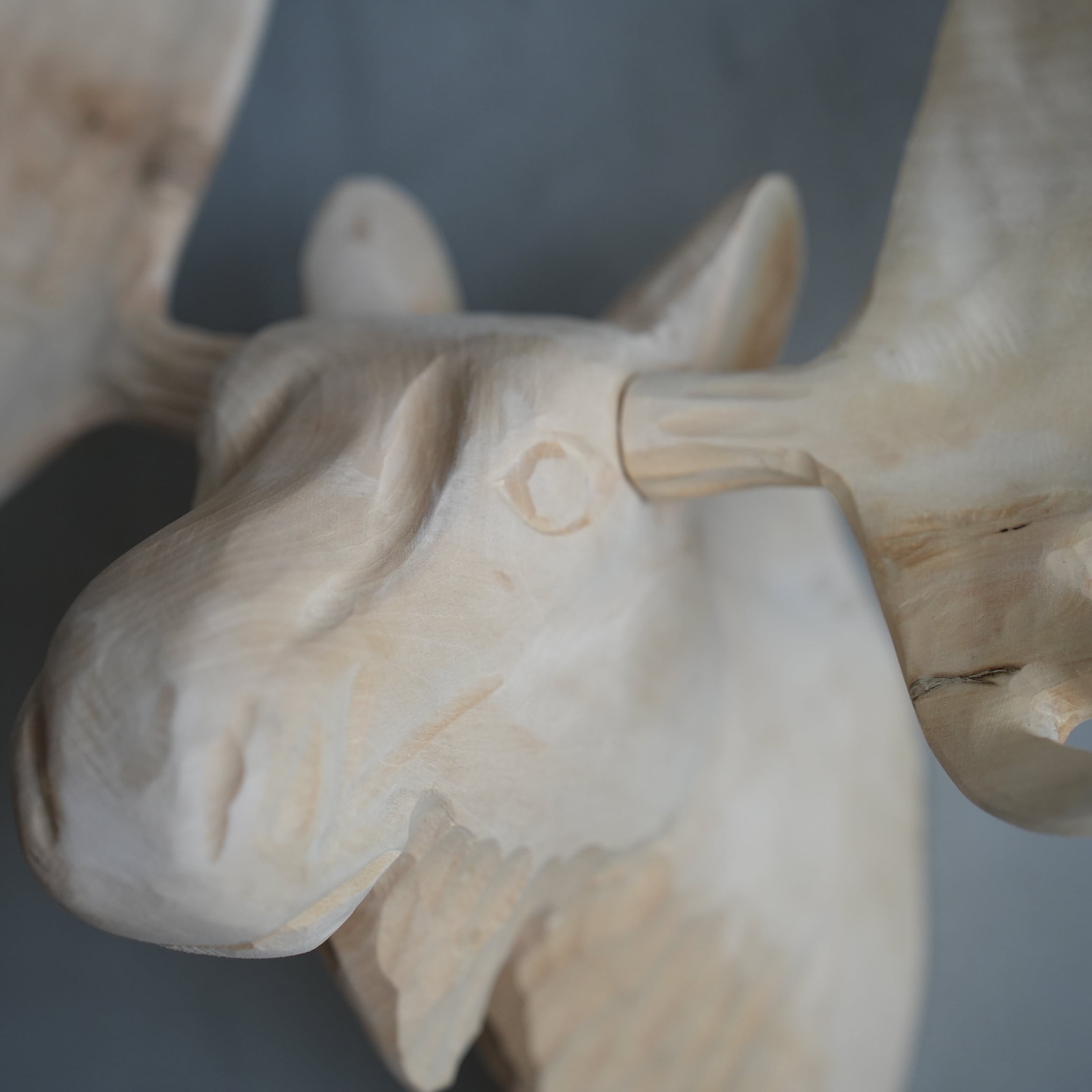 Wood Animal Head / Moose