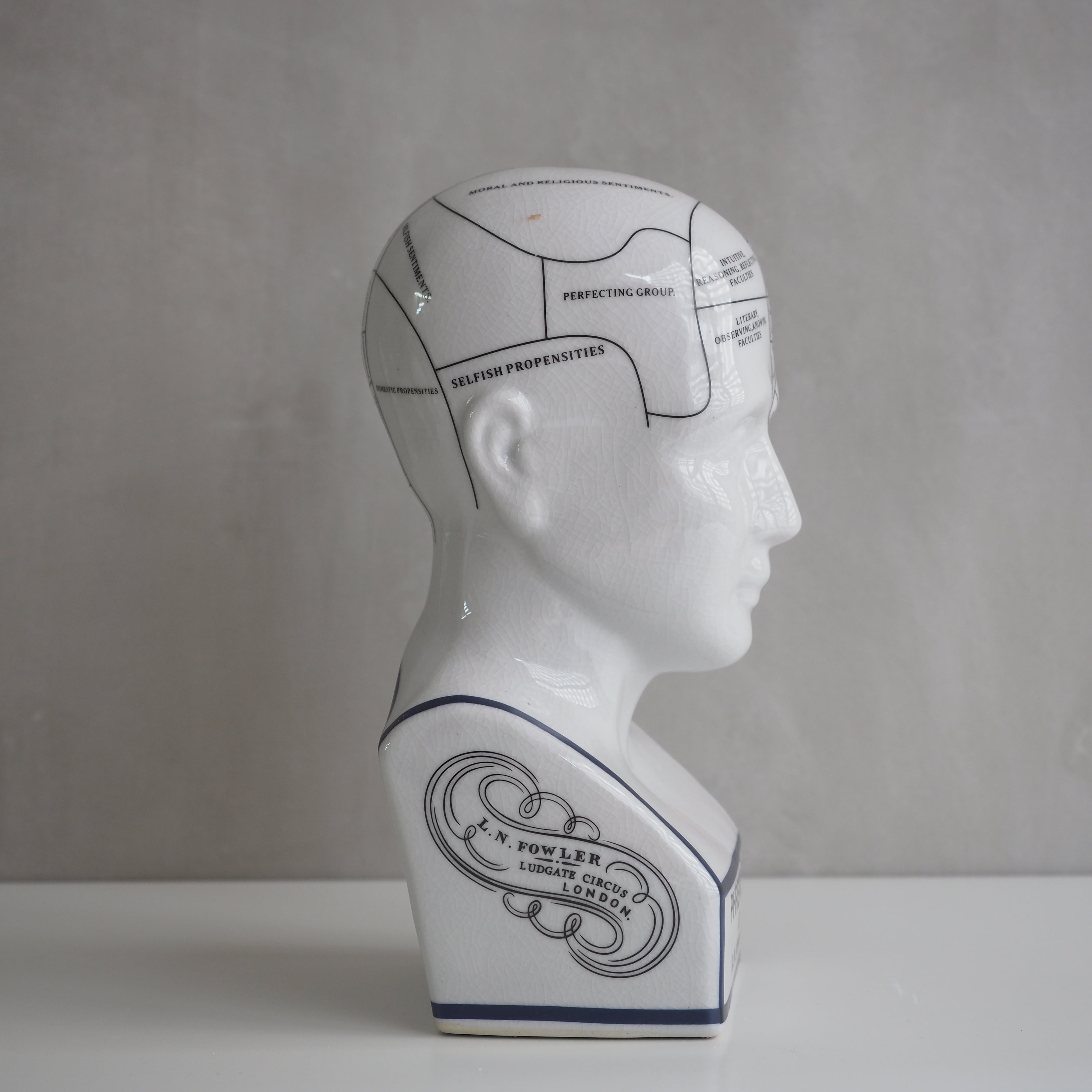 THE PHRENOLOGY L