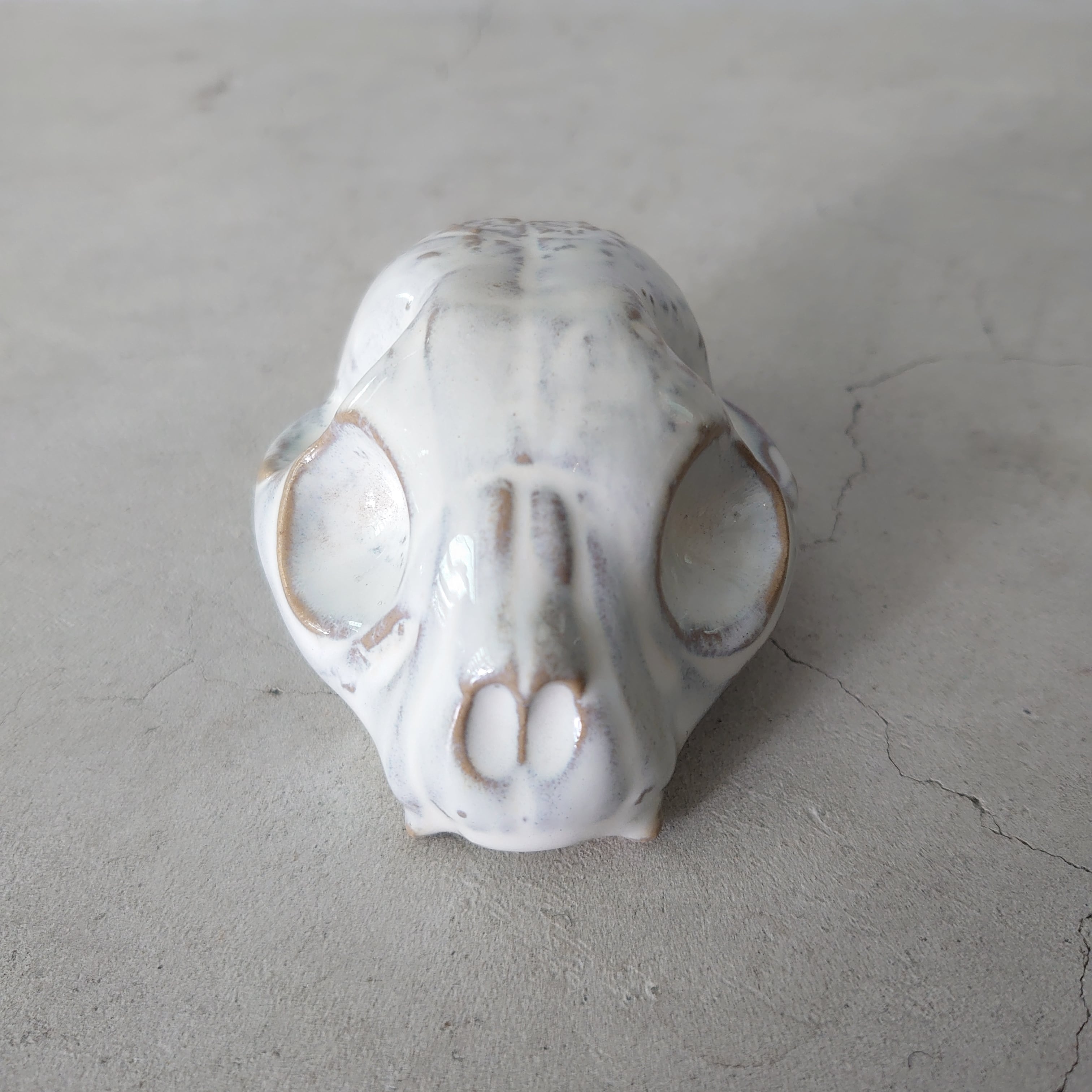 Baby Cat Skull BSK-005