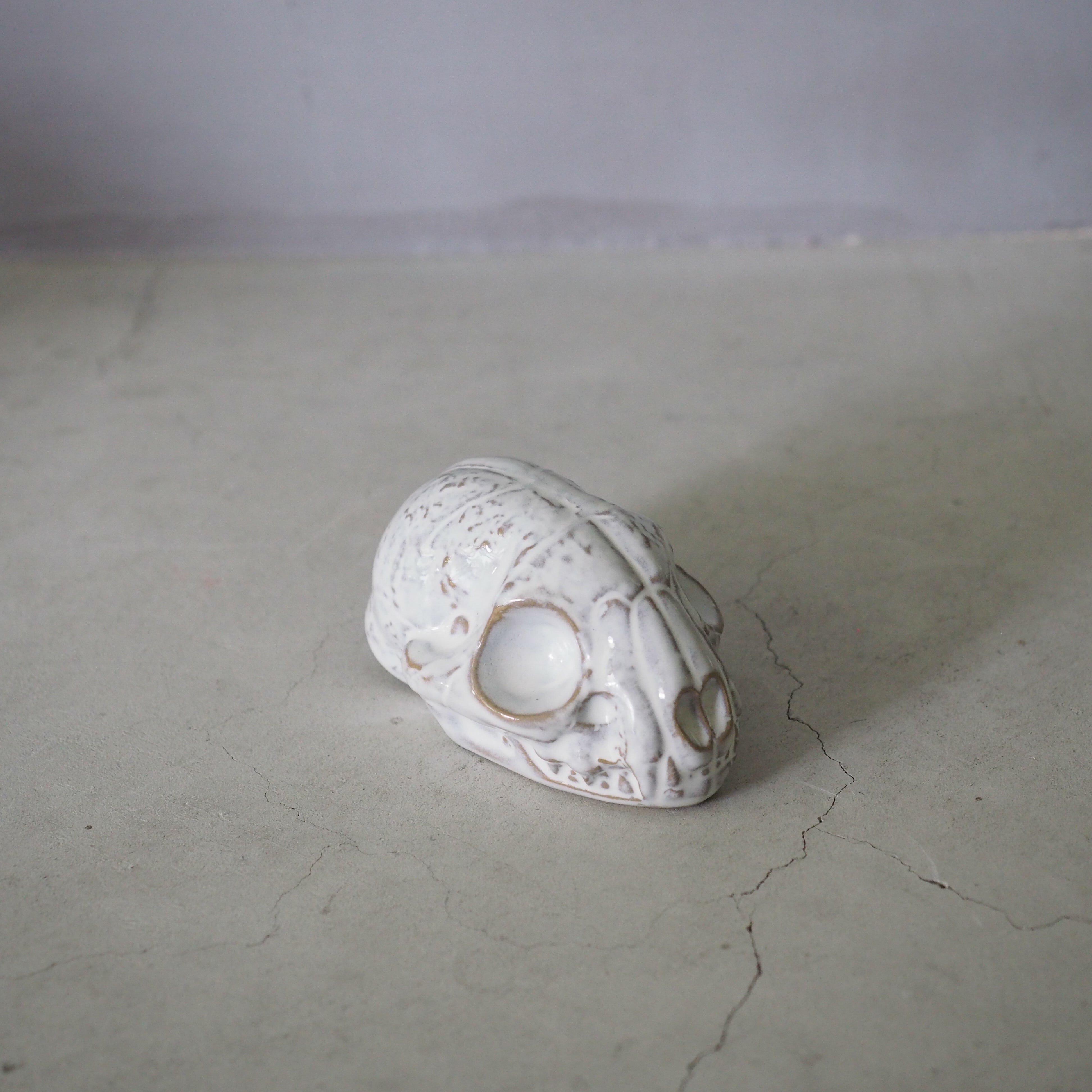 Cat Skull BSK-006