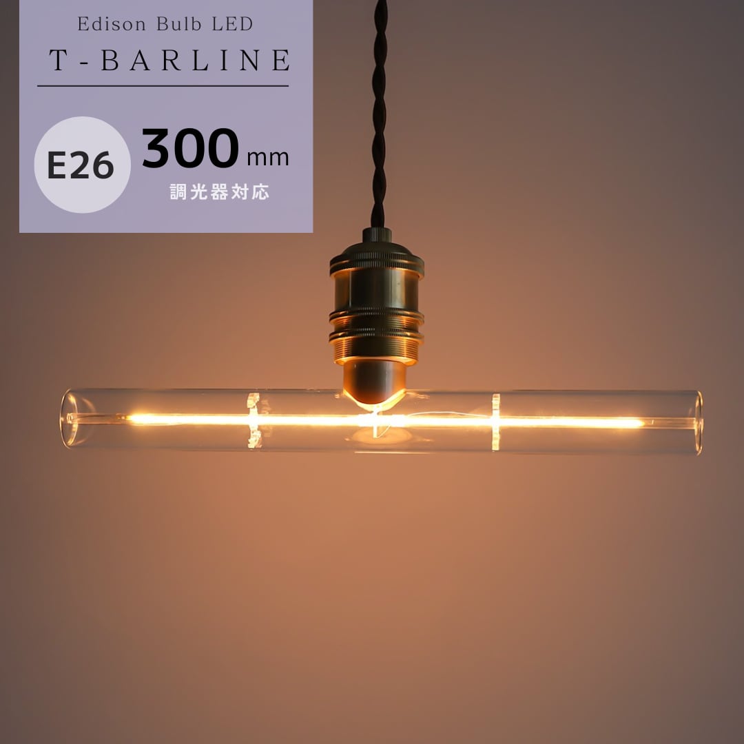 Edison Bulb LED E26 [T-BARLINE] 300mm