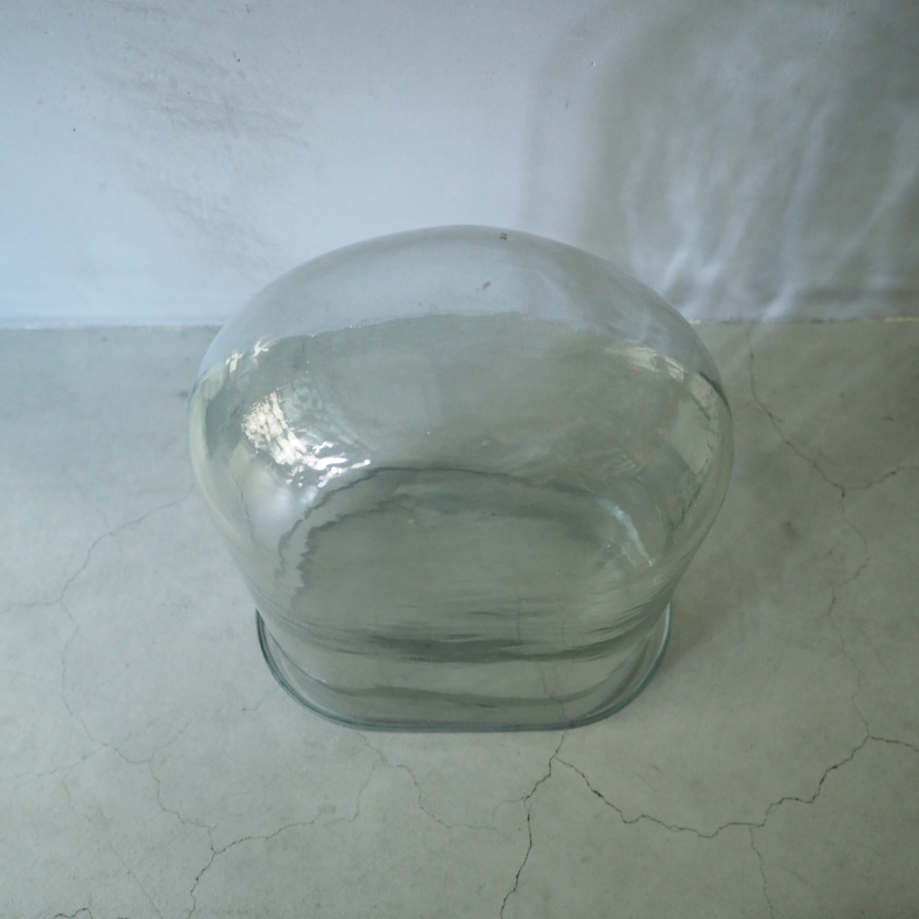 DISPLAY GLASS DOME