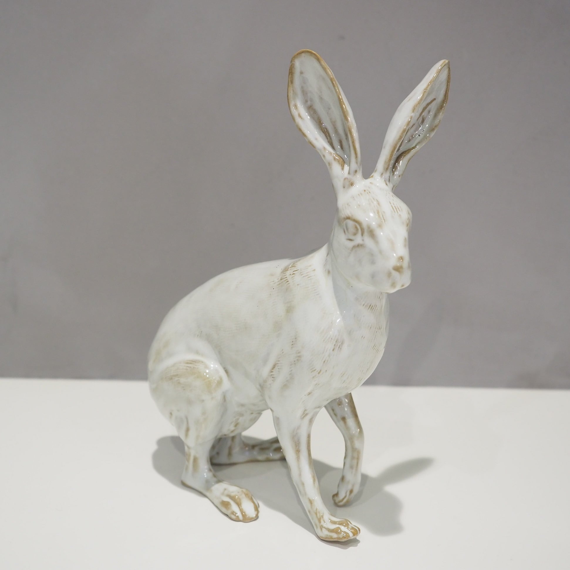 Hare PP-022