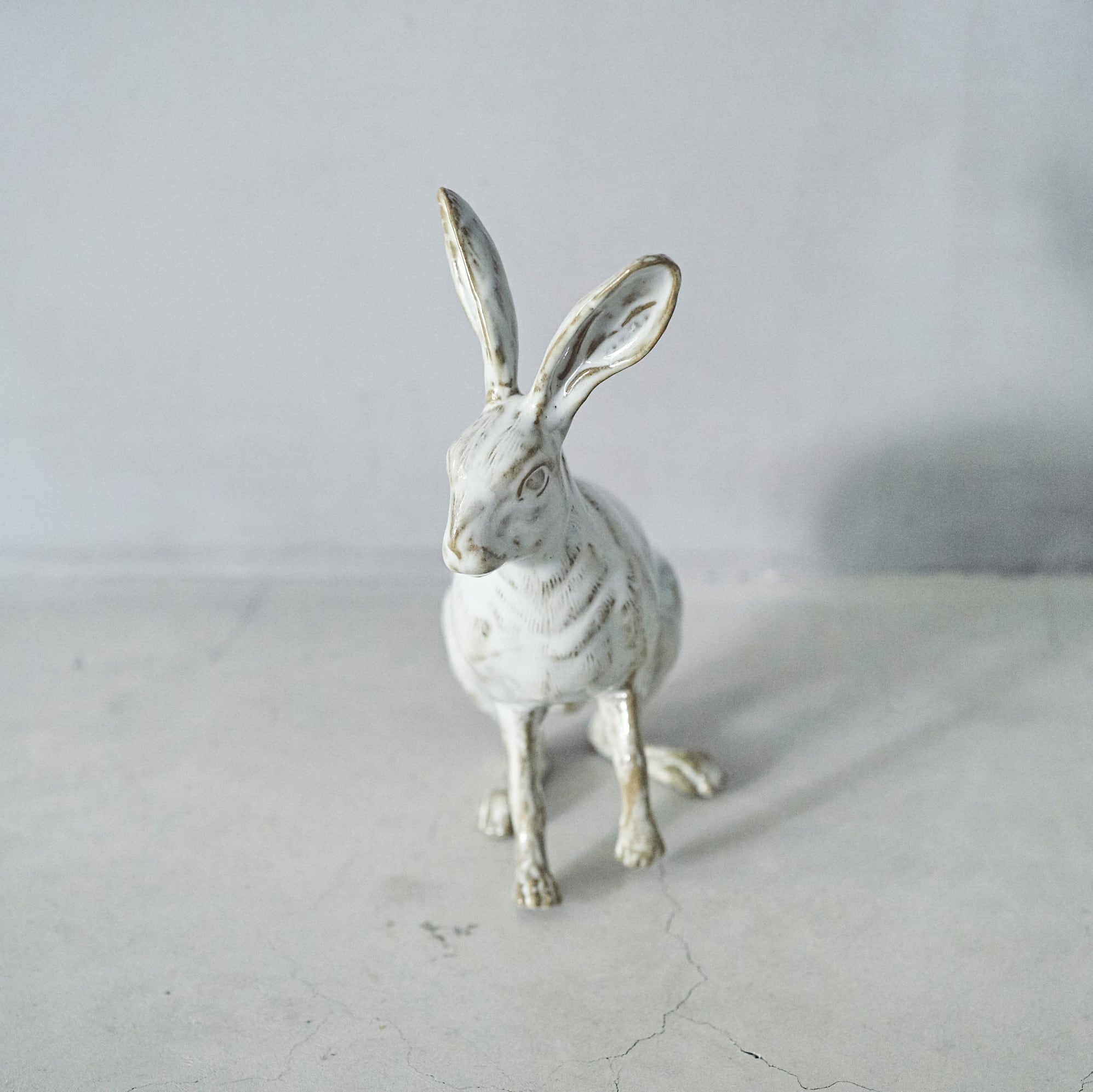 Hare PP-022