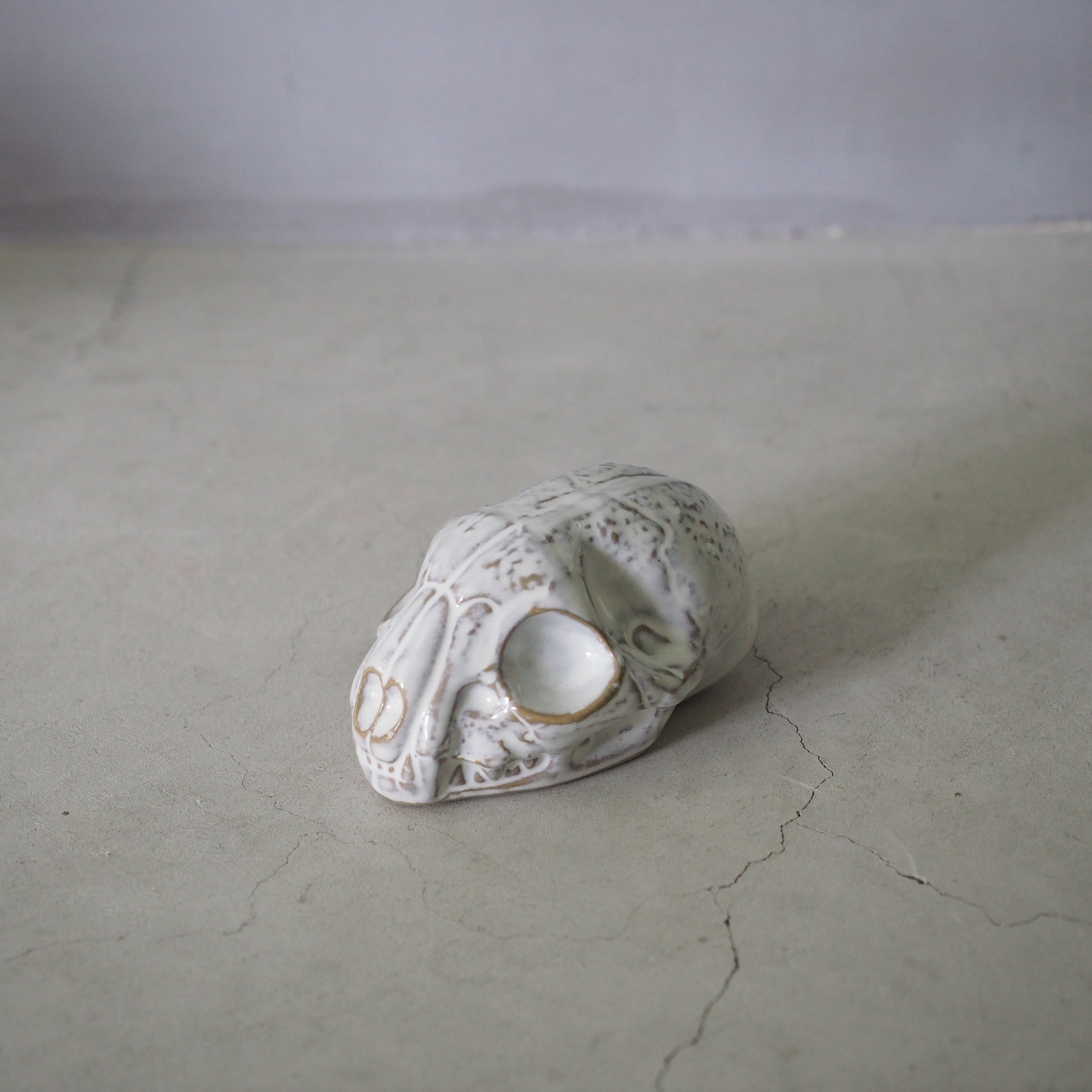 Cat Skull BSK-006