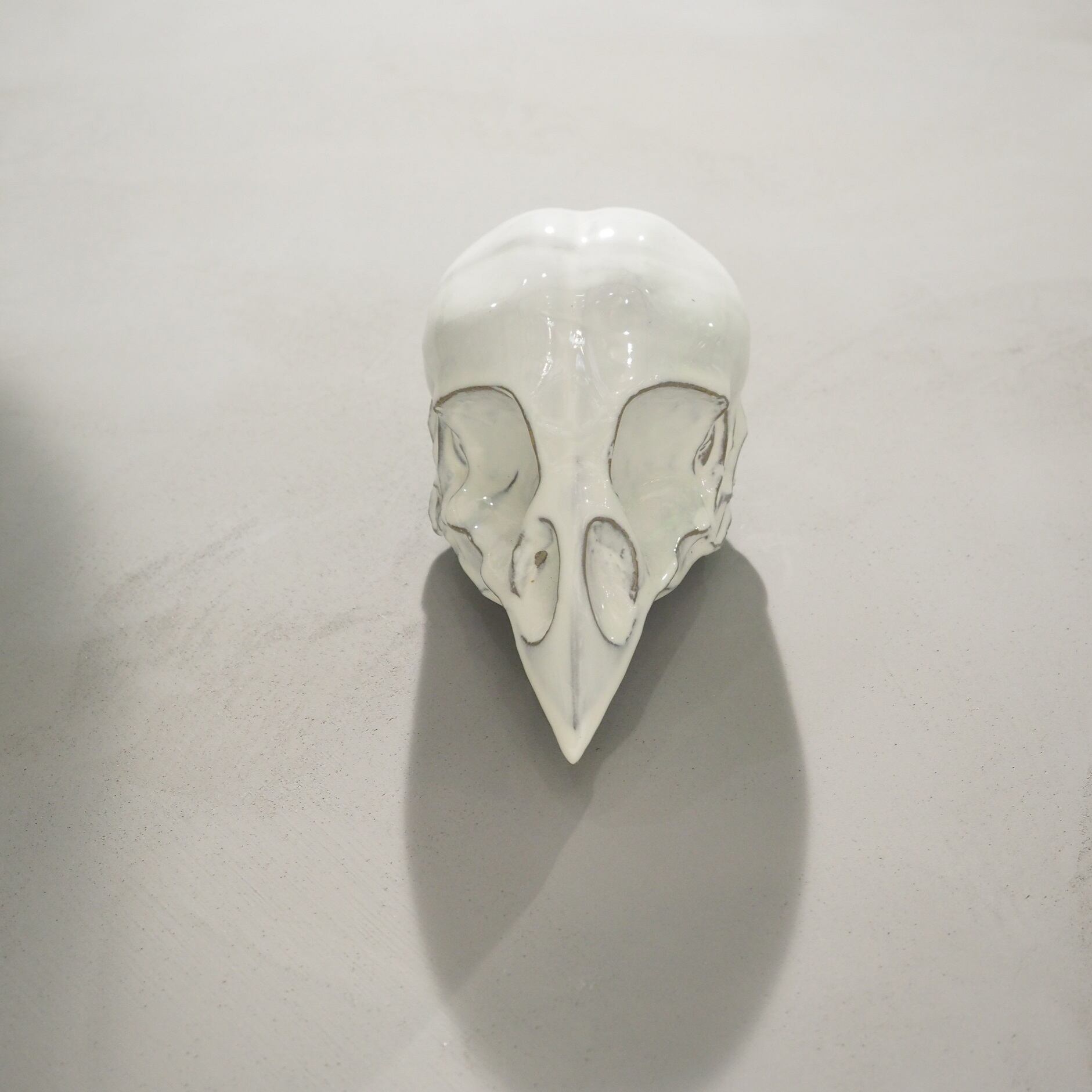 Bird Skull BSK-002-05