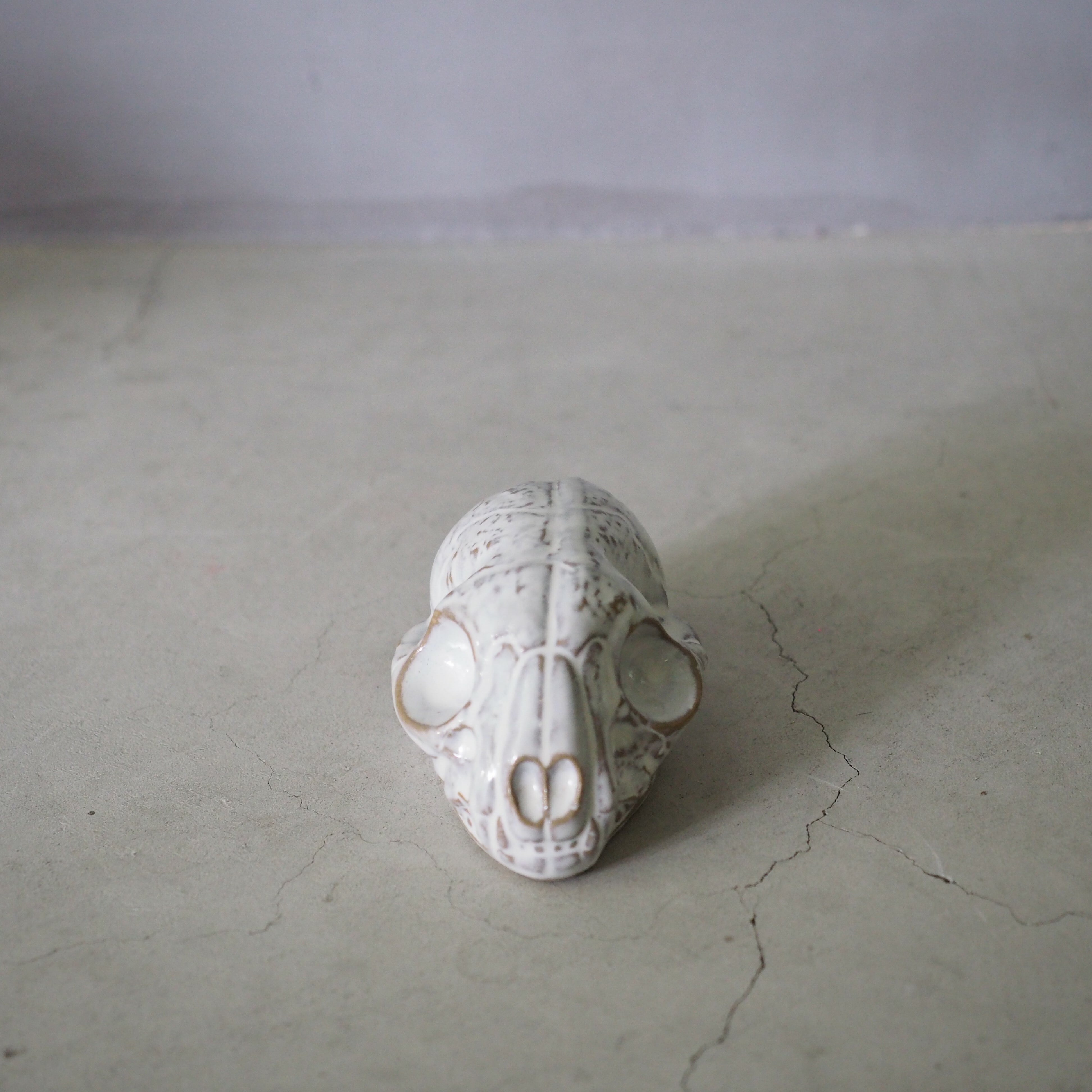 Cat Skull BSK-006