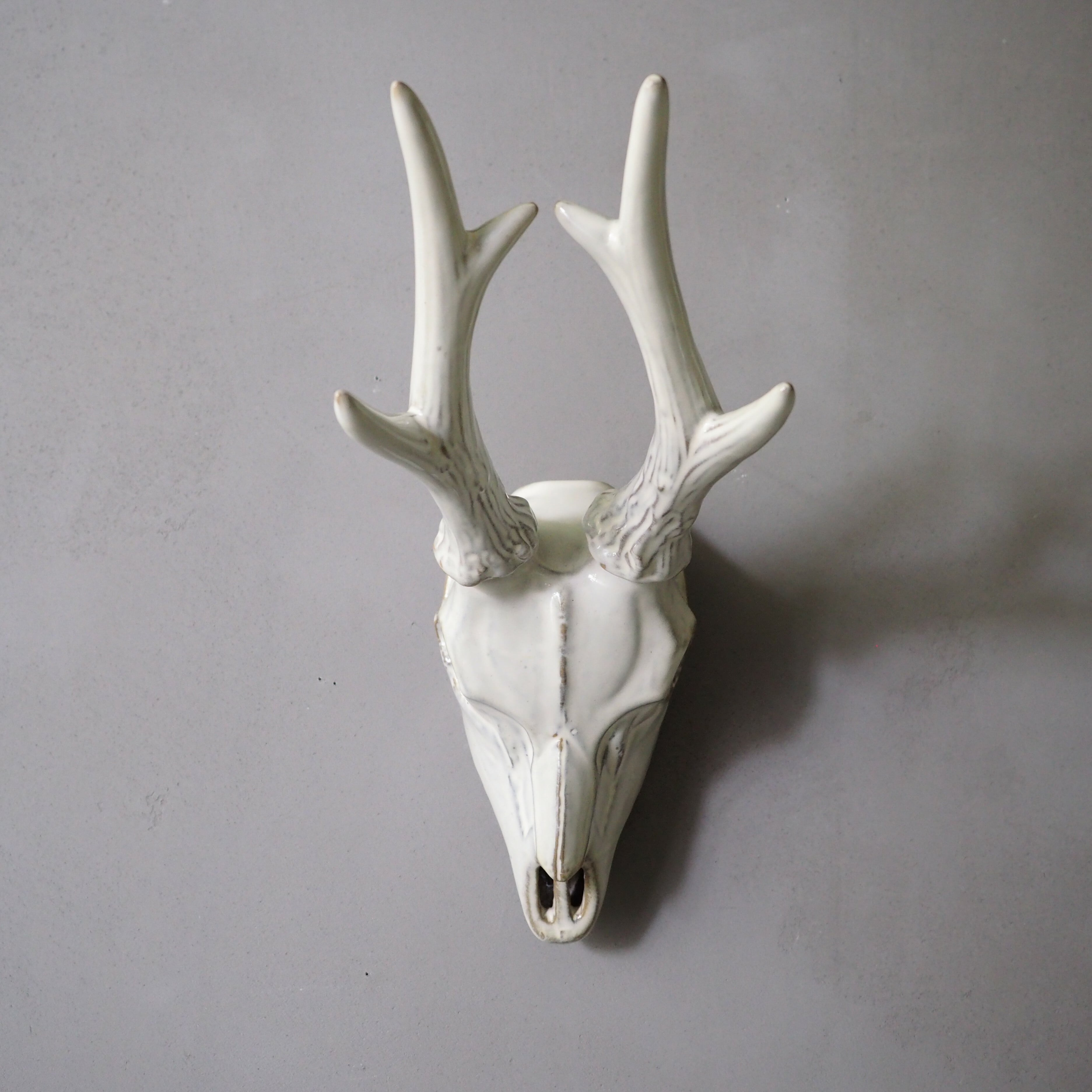 Deer Skull DS-001