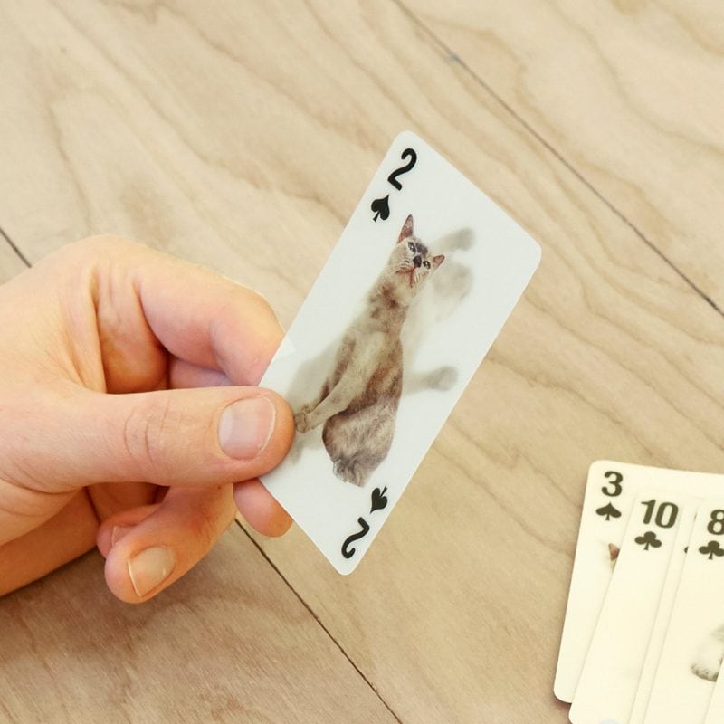 3D Cat Cards