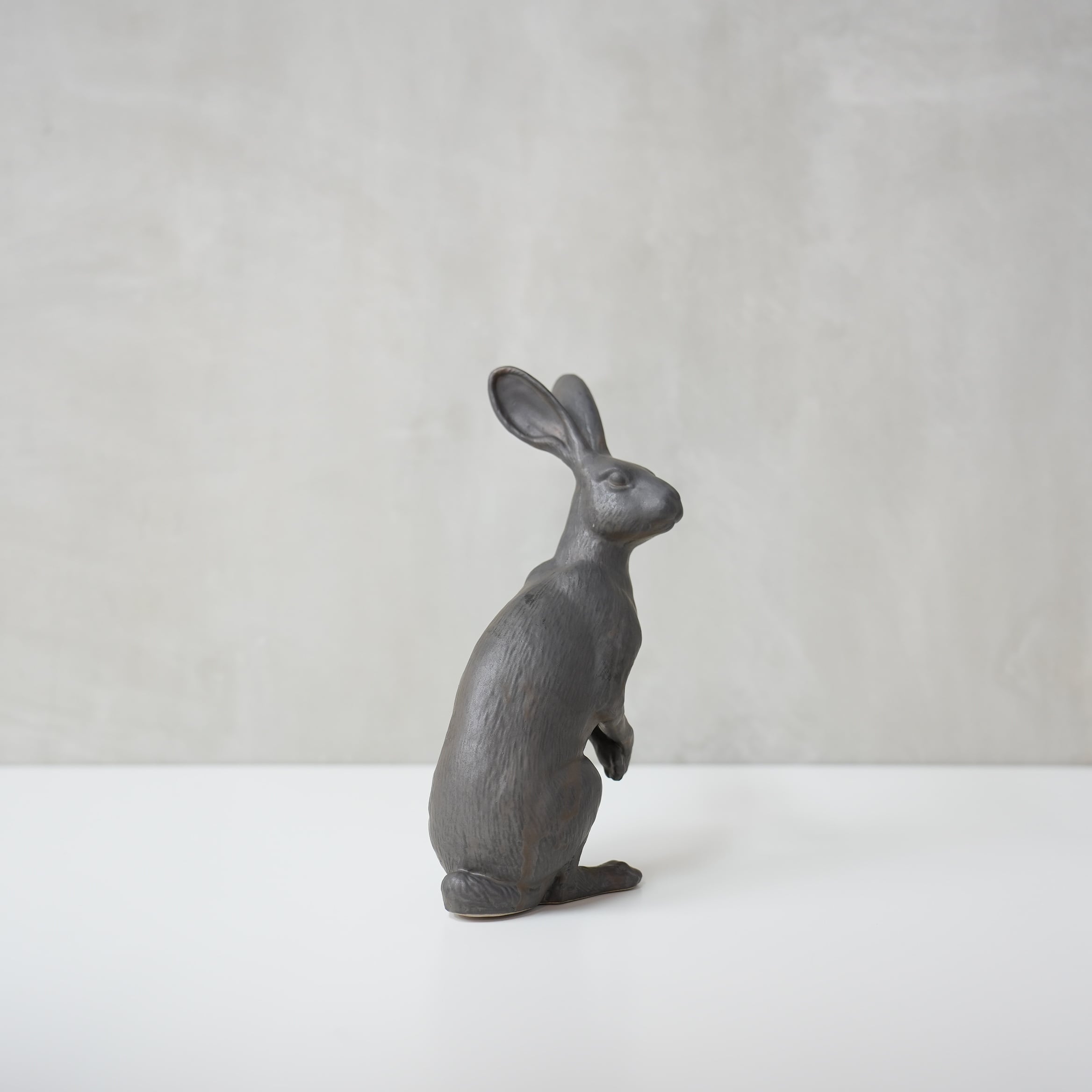 Curious Hare Black PP-023-04