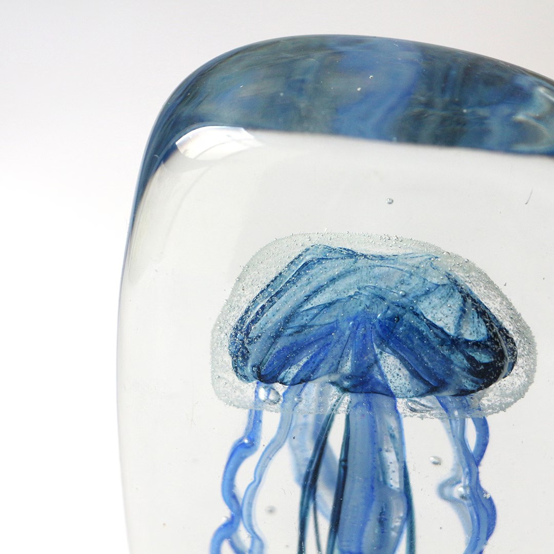 Jellyfish Twisted Leg