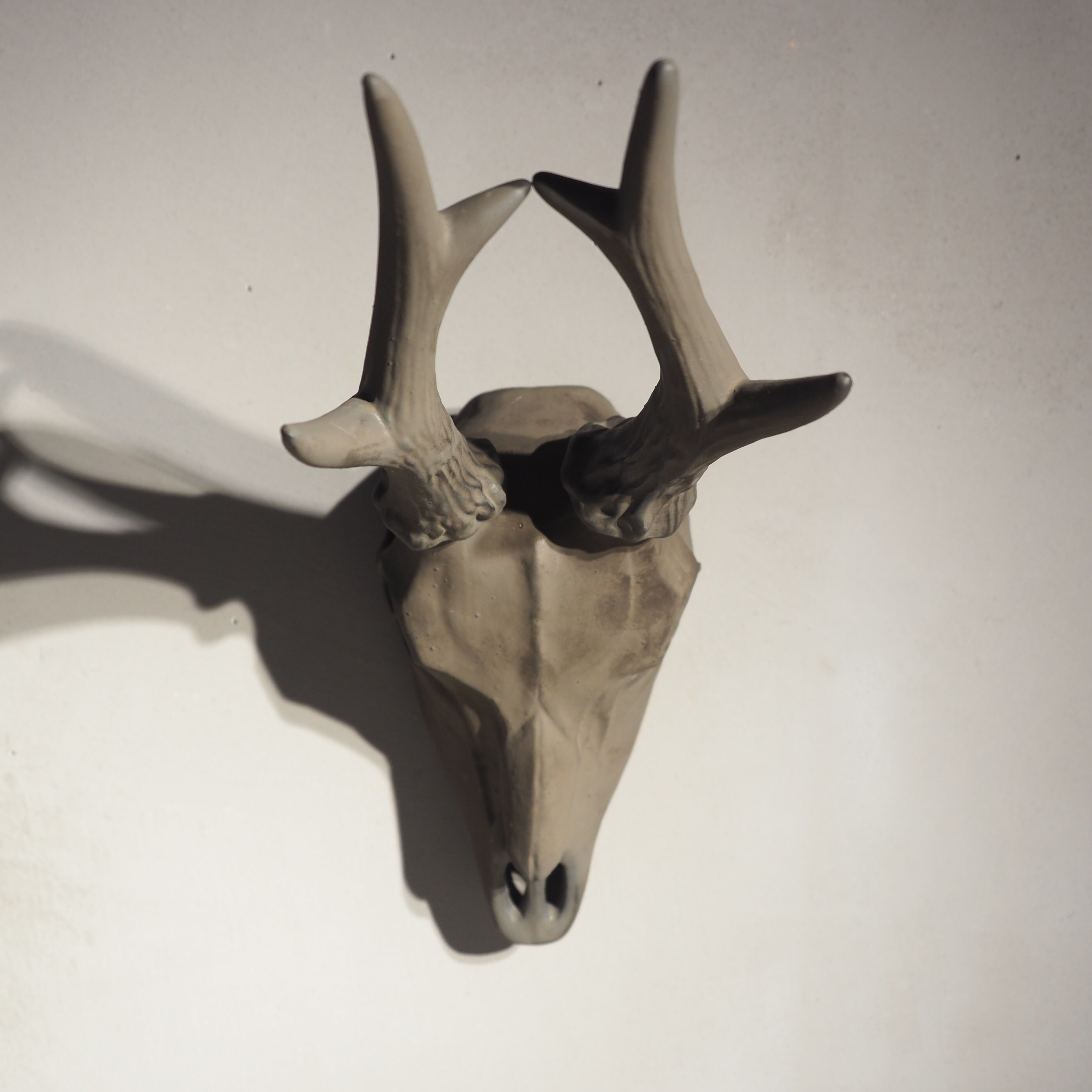 Deer Skull BK DS-001-04