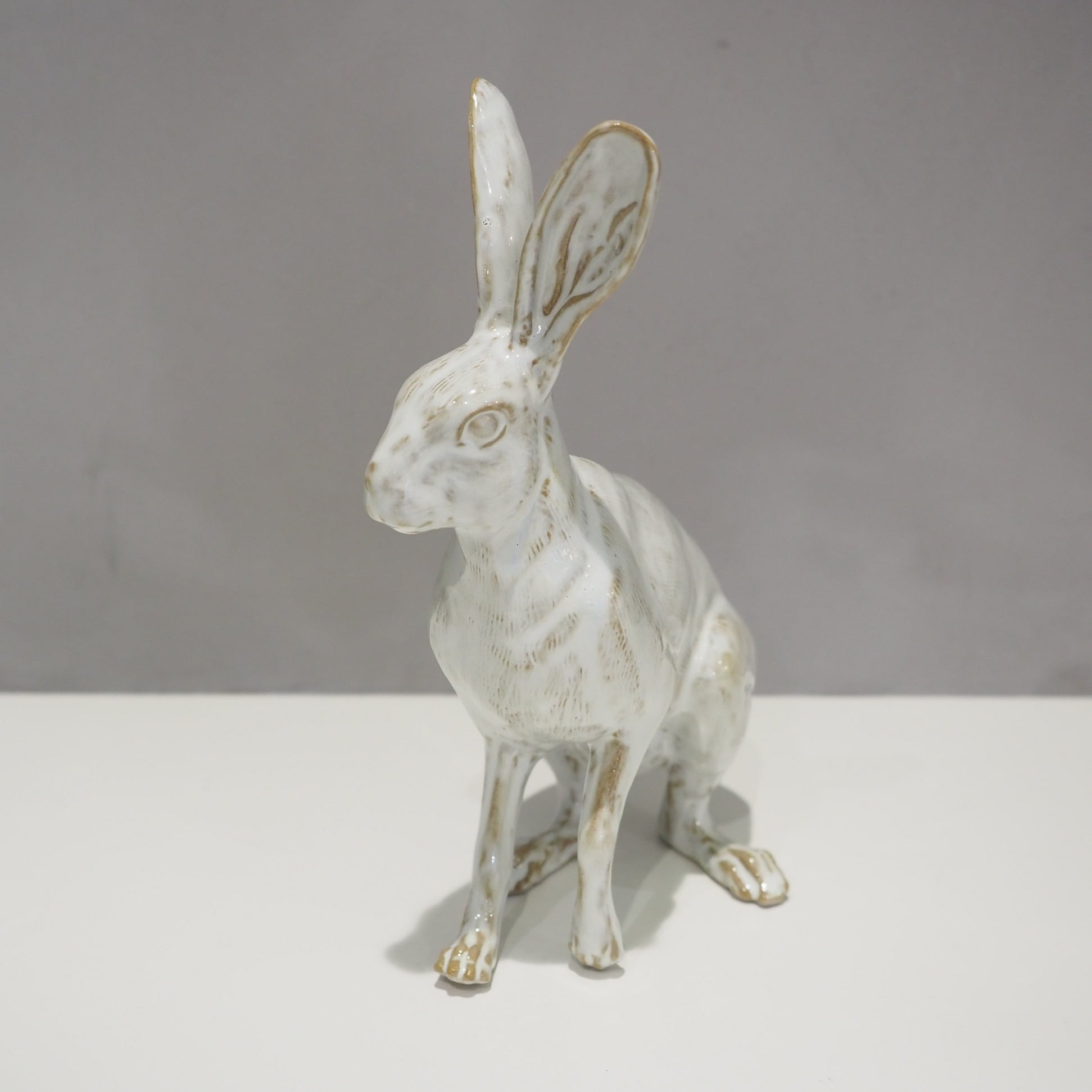 Hare PP-022