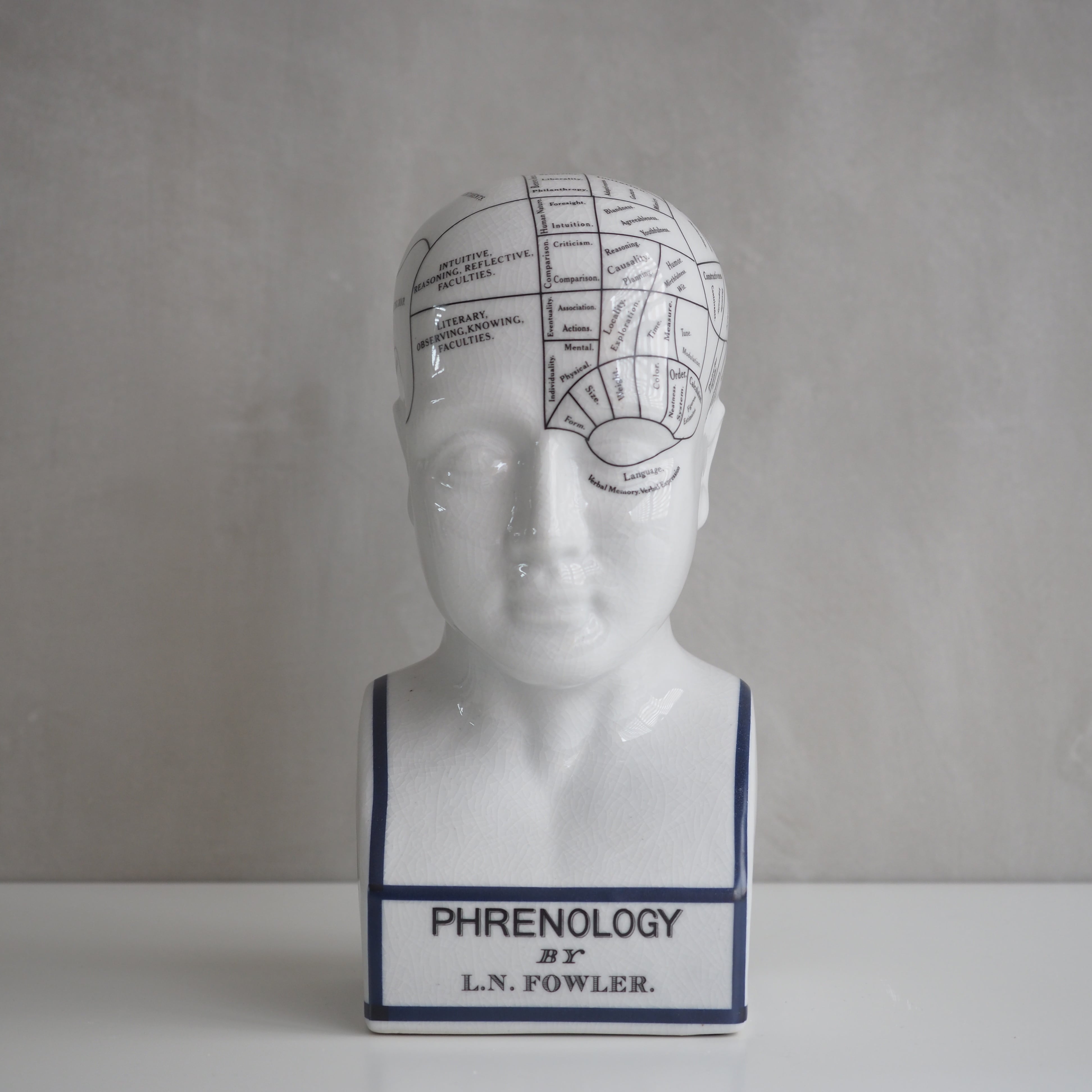 THE PHRENOLOGY L