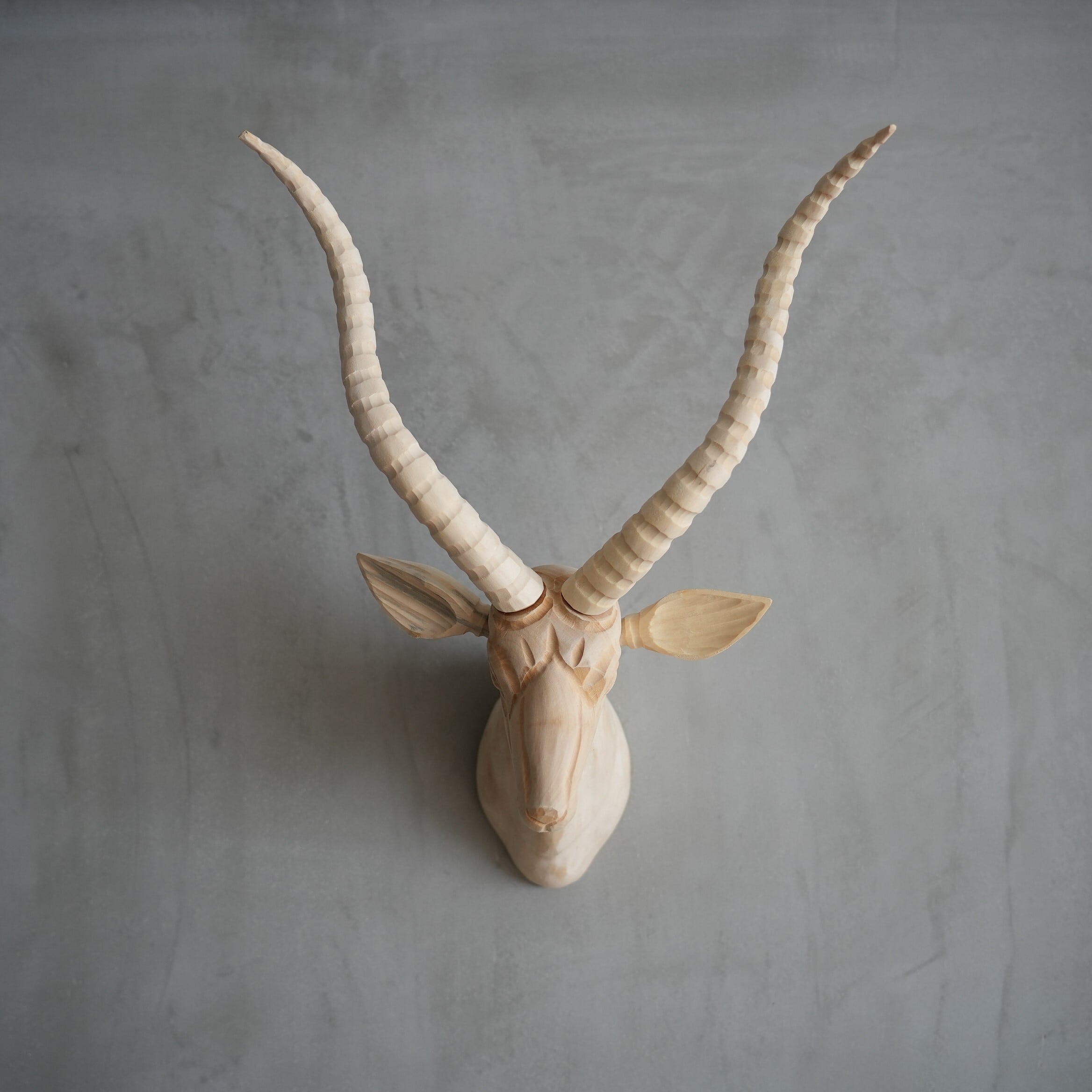 Wood Animal Head / Gazelle