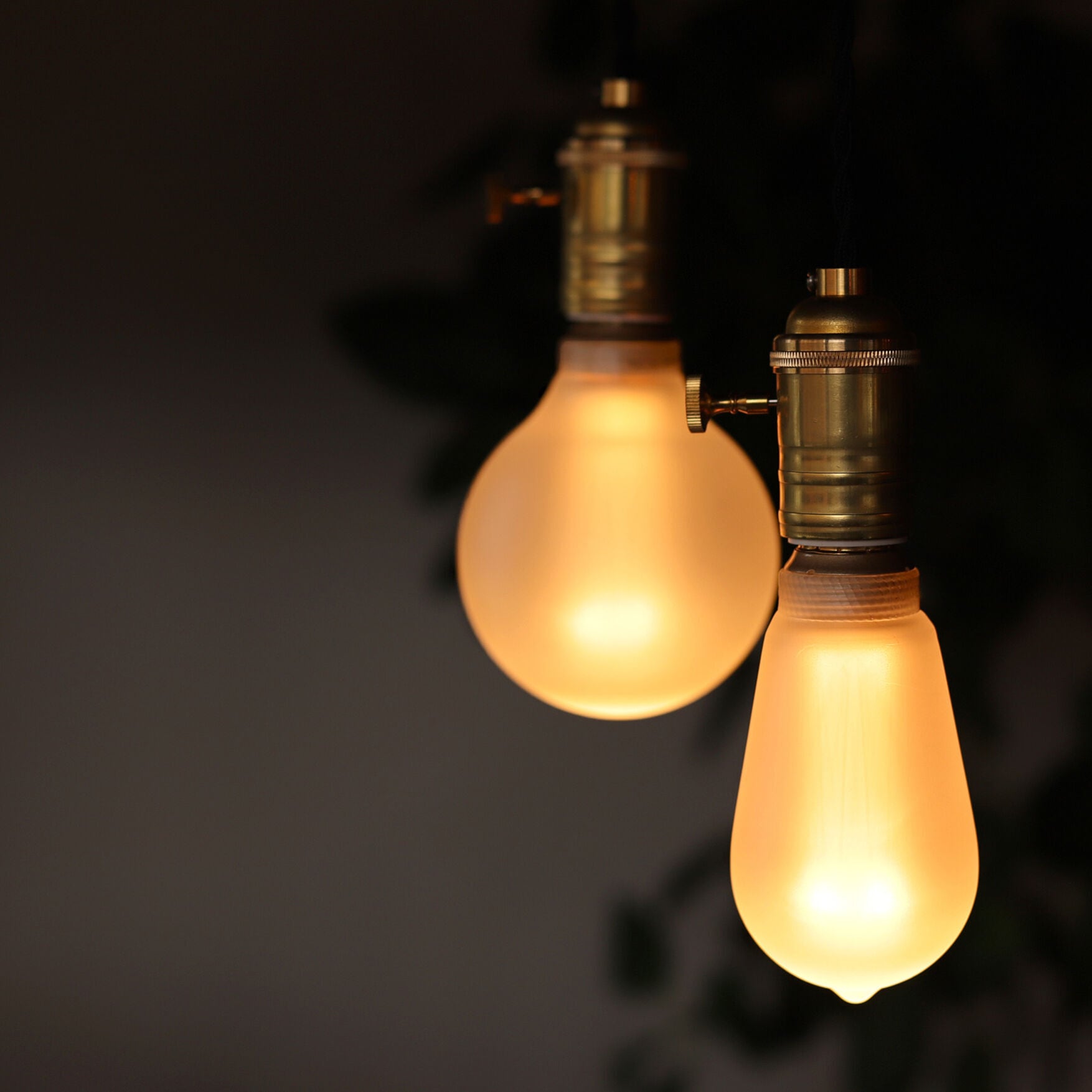 NOSTALGIA LED Bulb　FROST