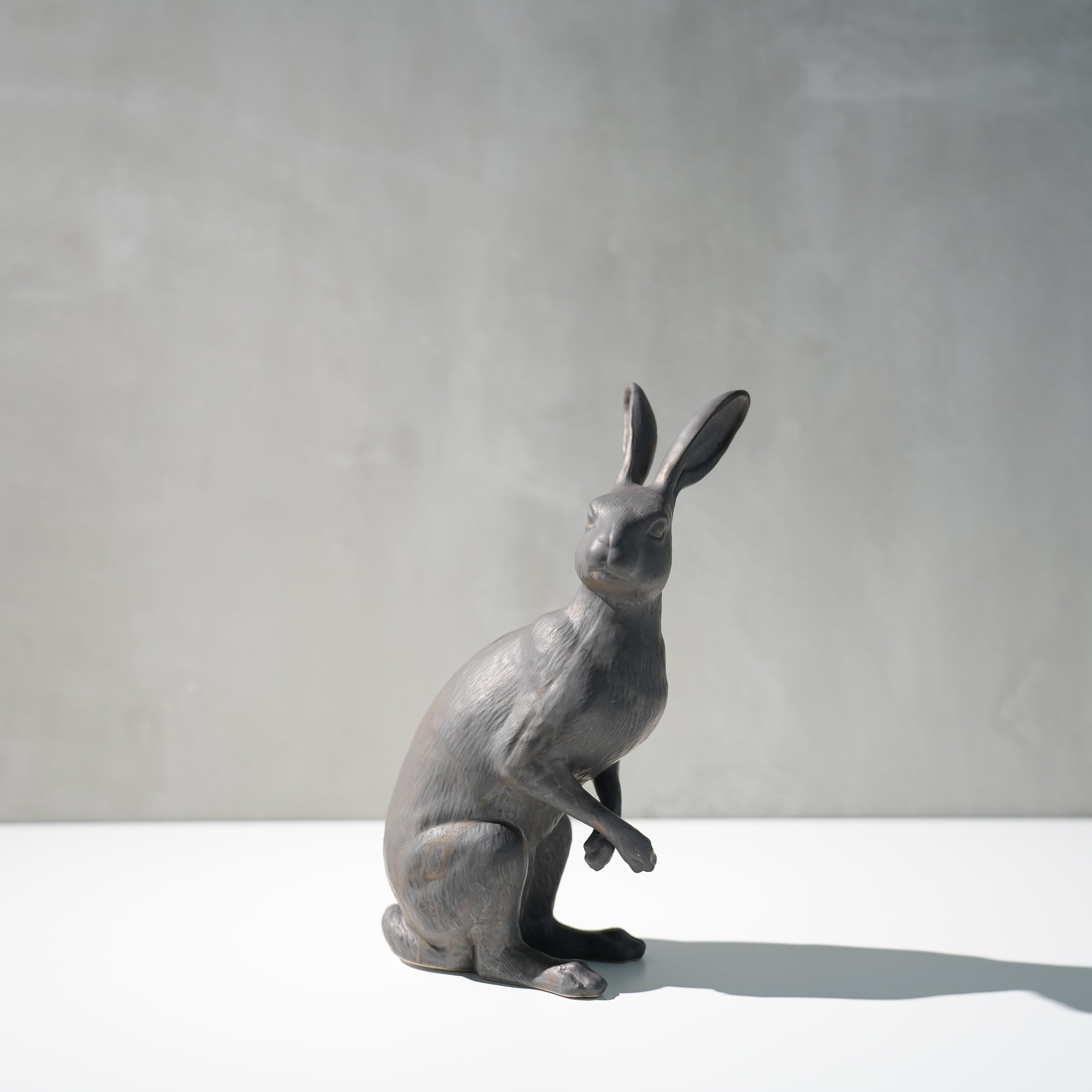 Curious Hare Black PP-023-04