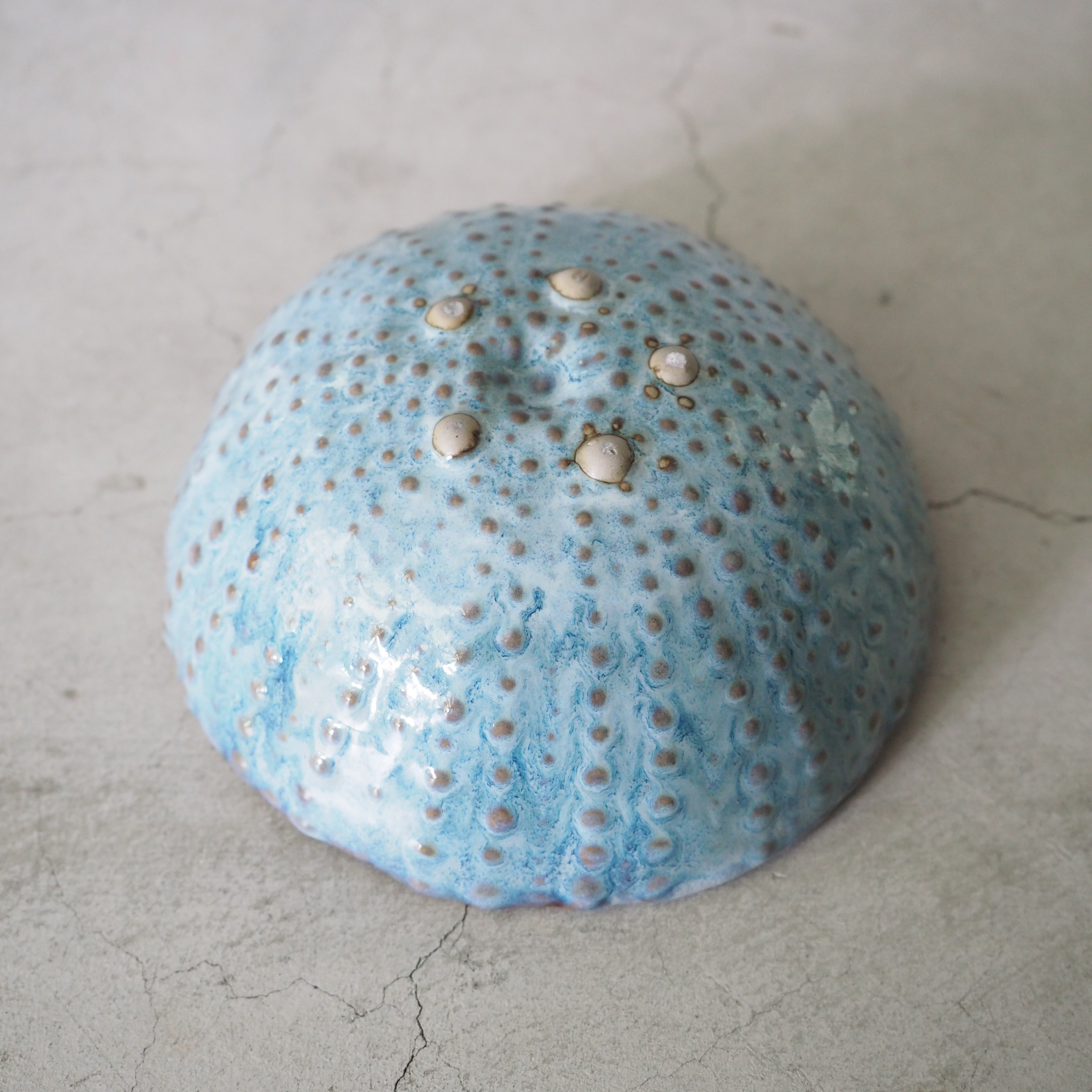 Urchin Dish OCT-054