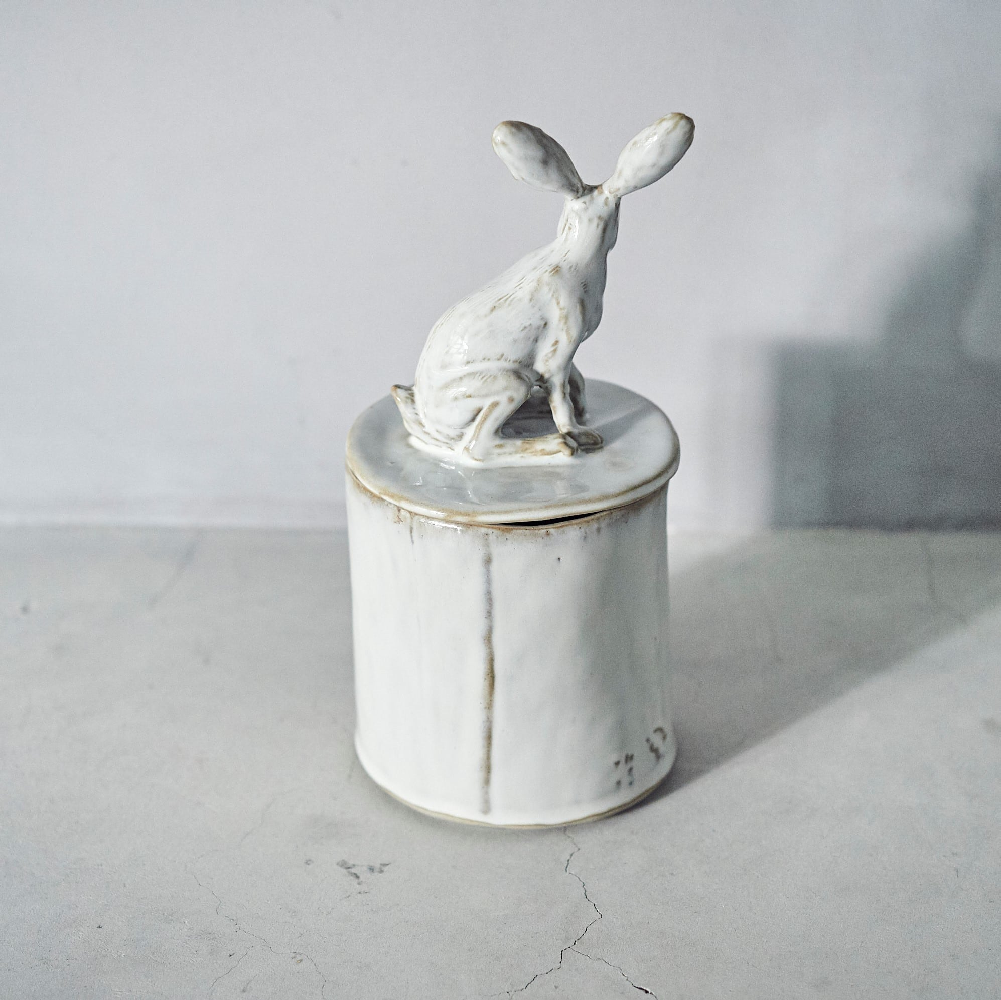 Hare Tin PP-020