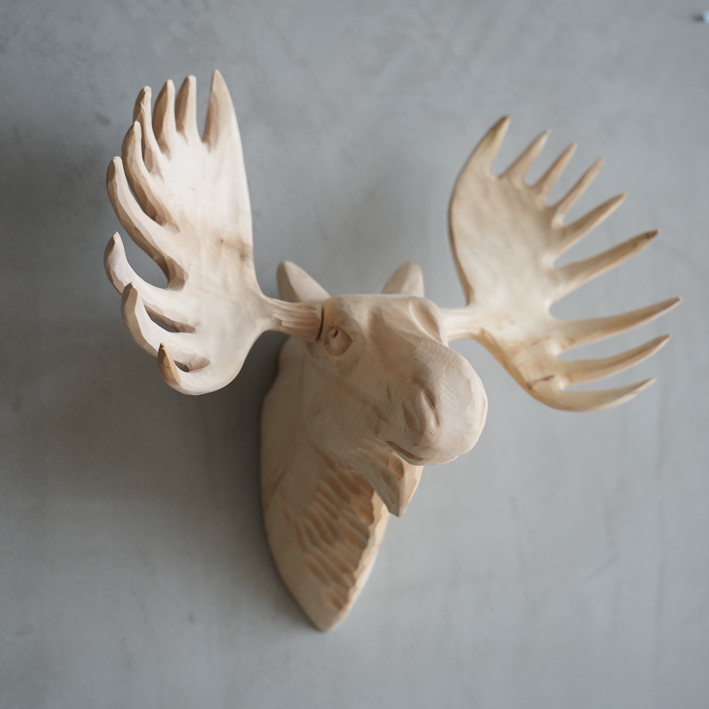 Wood Animal Head / Moose