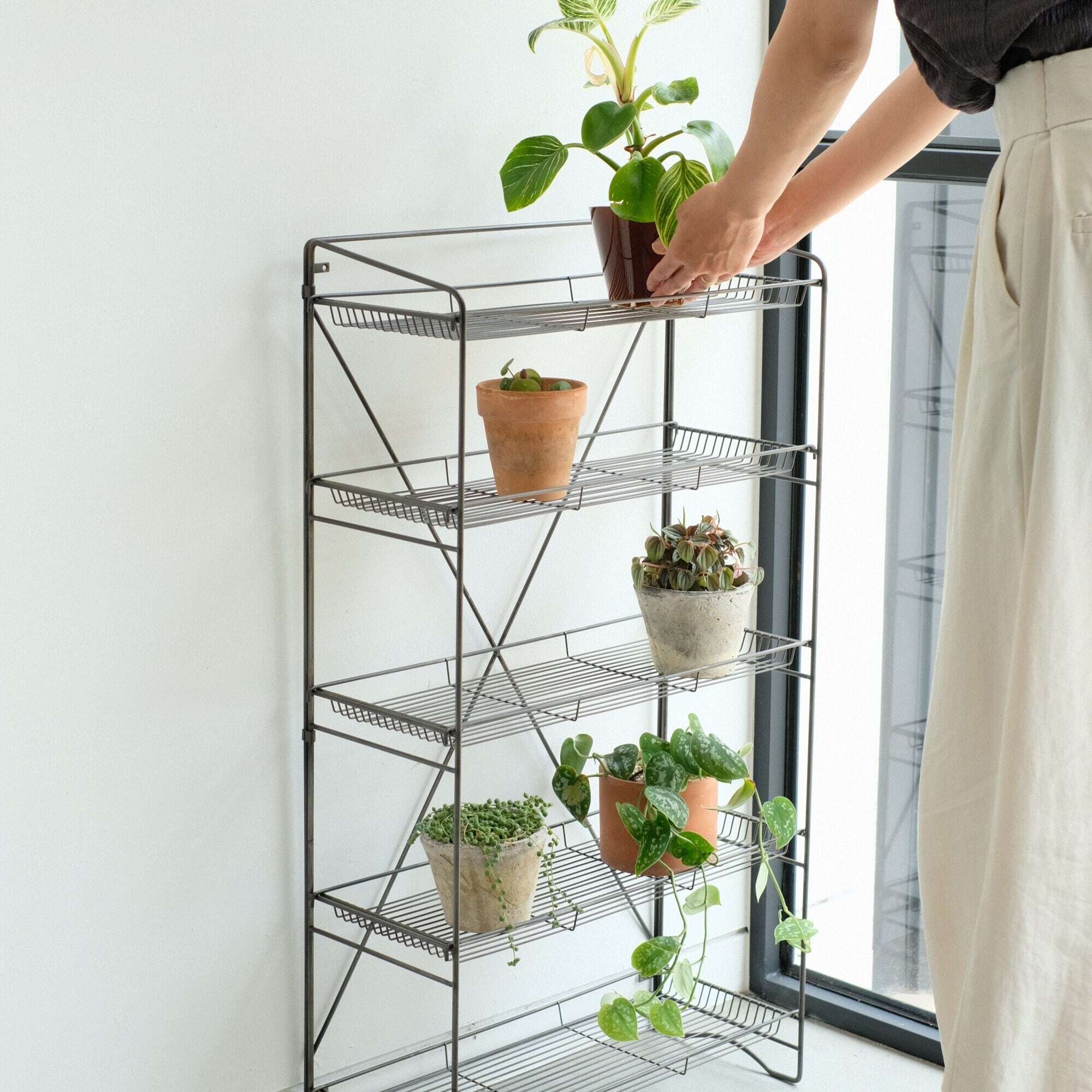 HABANA Folding Shelf　LL