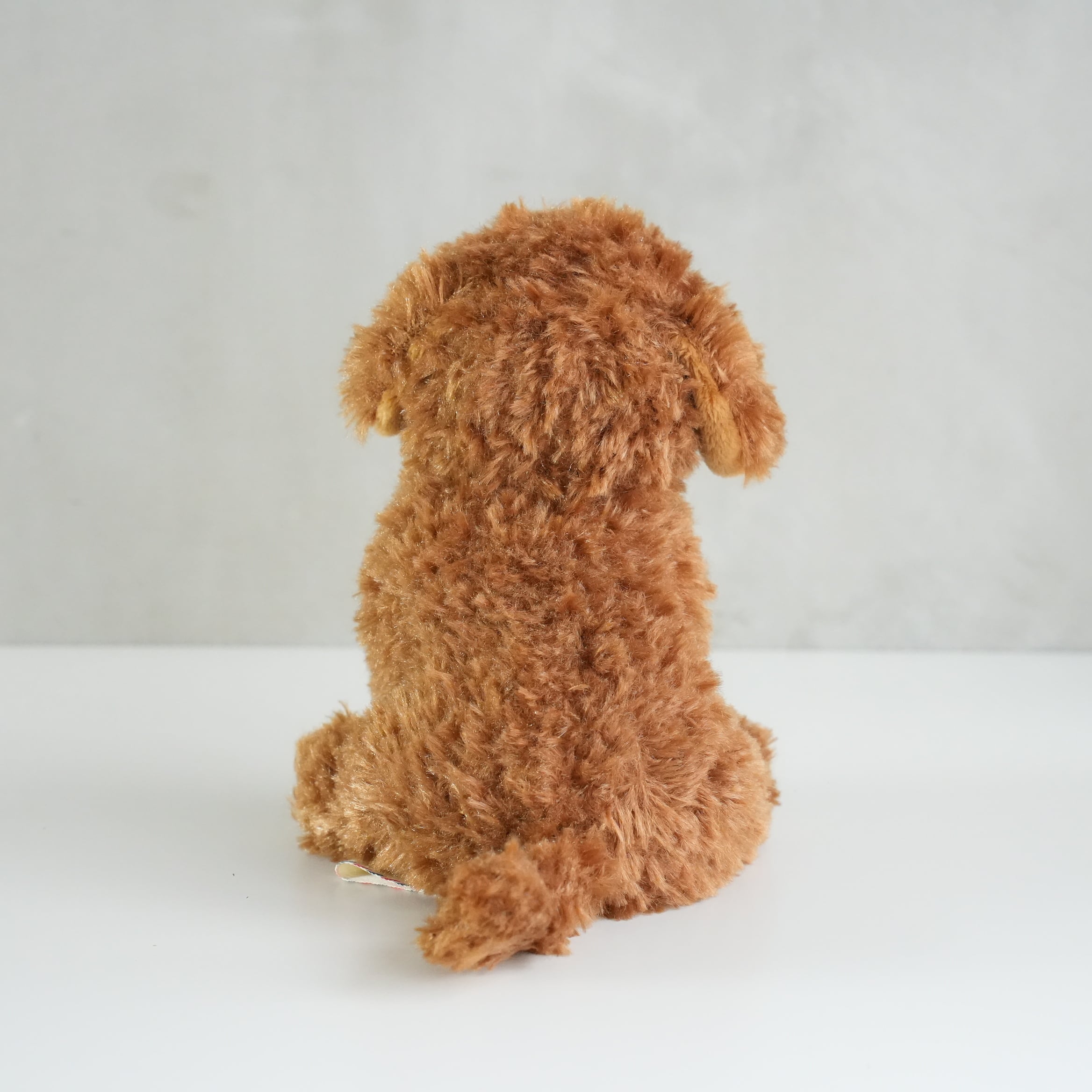 B.T. CHAPS / Labradoodle