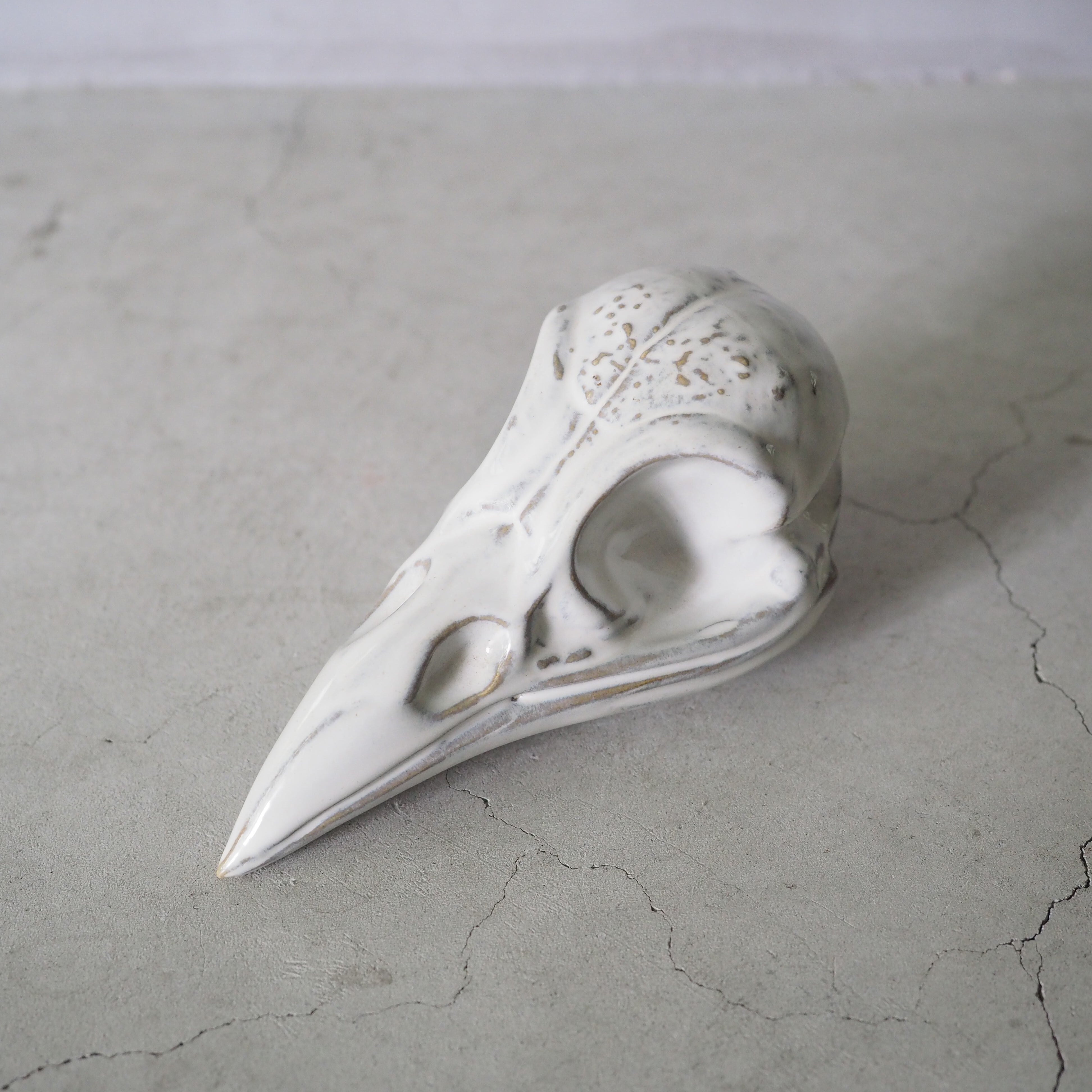 Crow Skull BSK-004