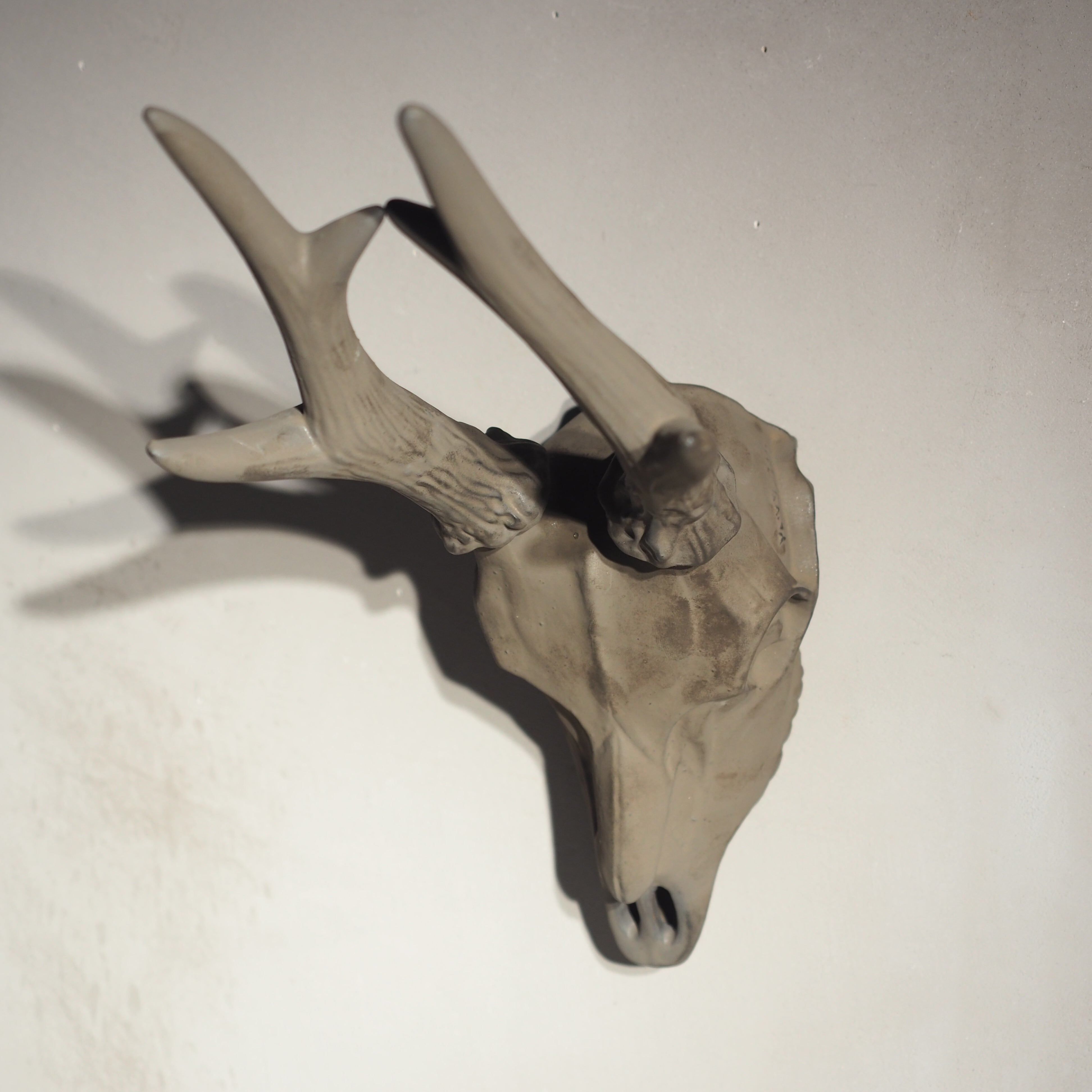 Deer Skull BK DS-001-04