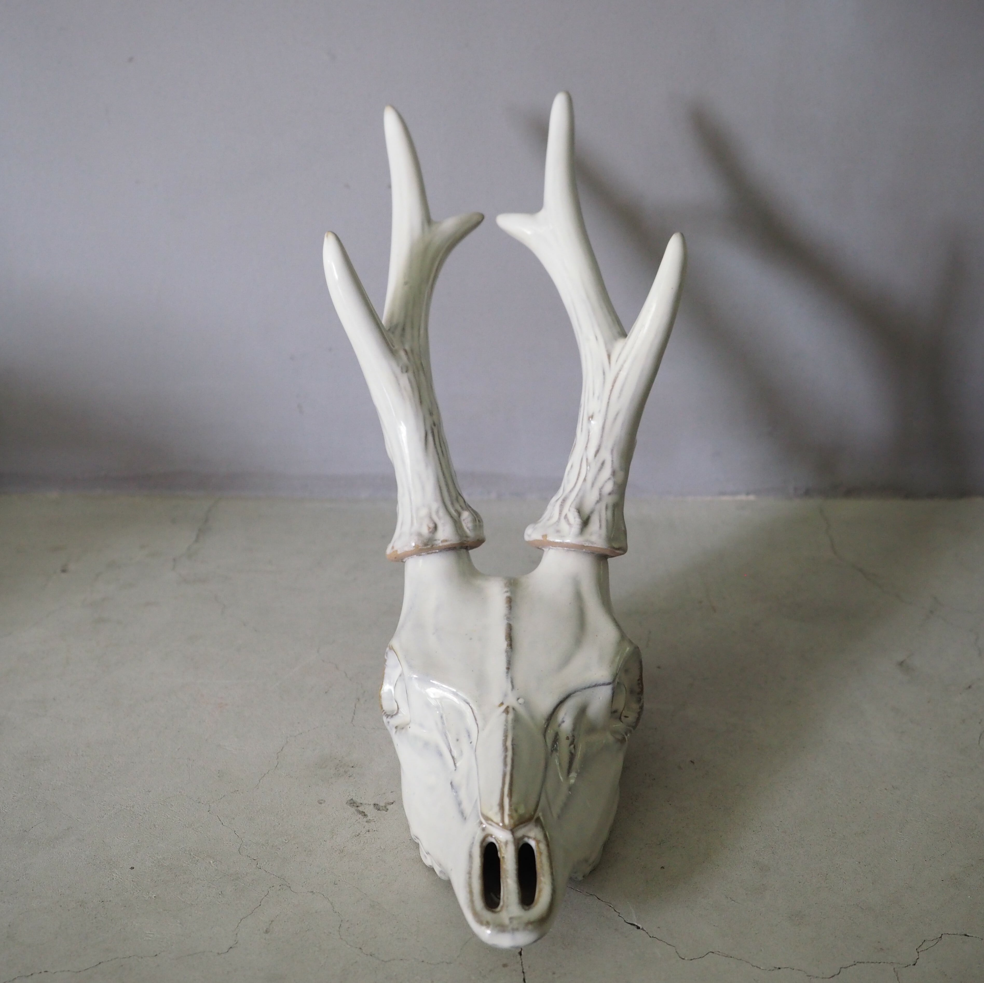 Deer Skull DS-001