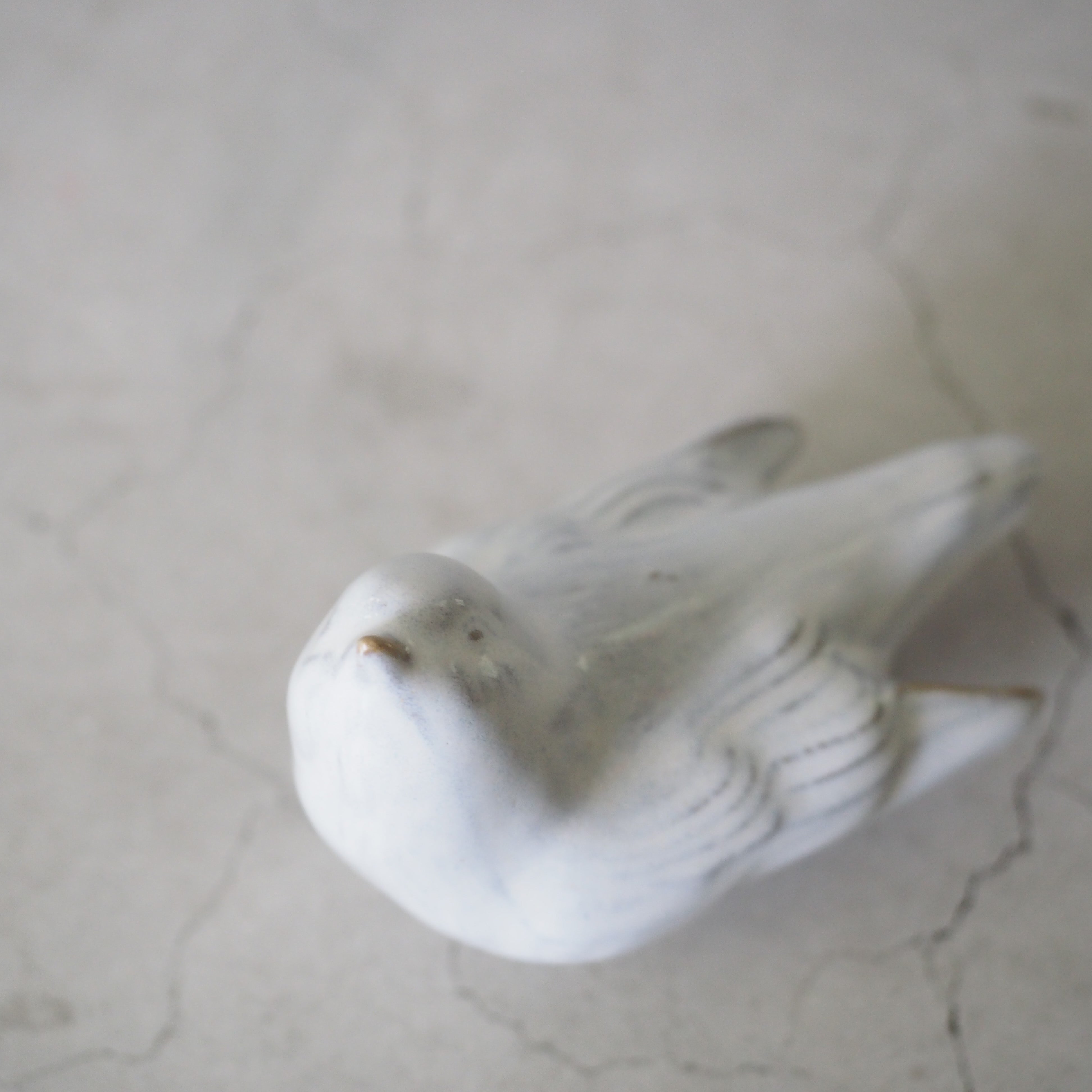 Bird R. Ⅰ BR-001