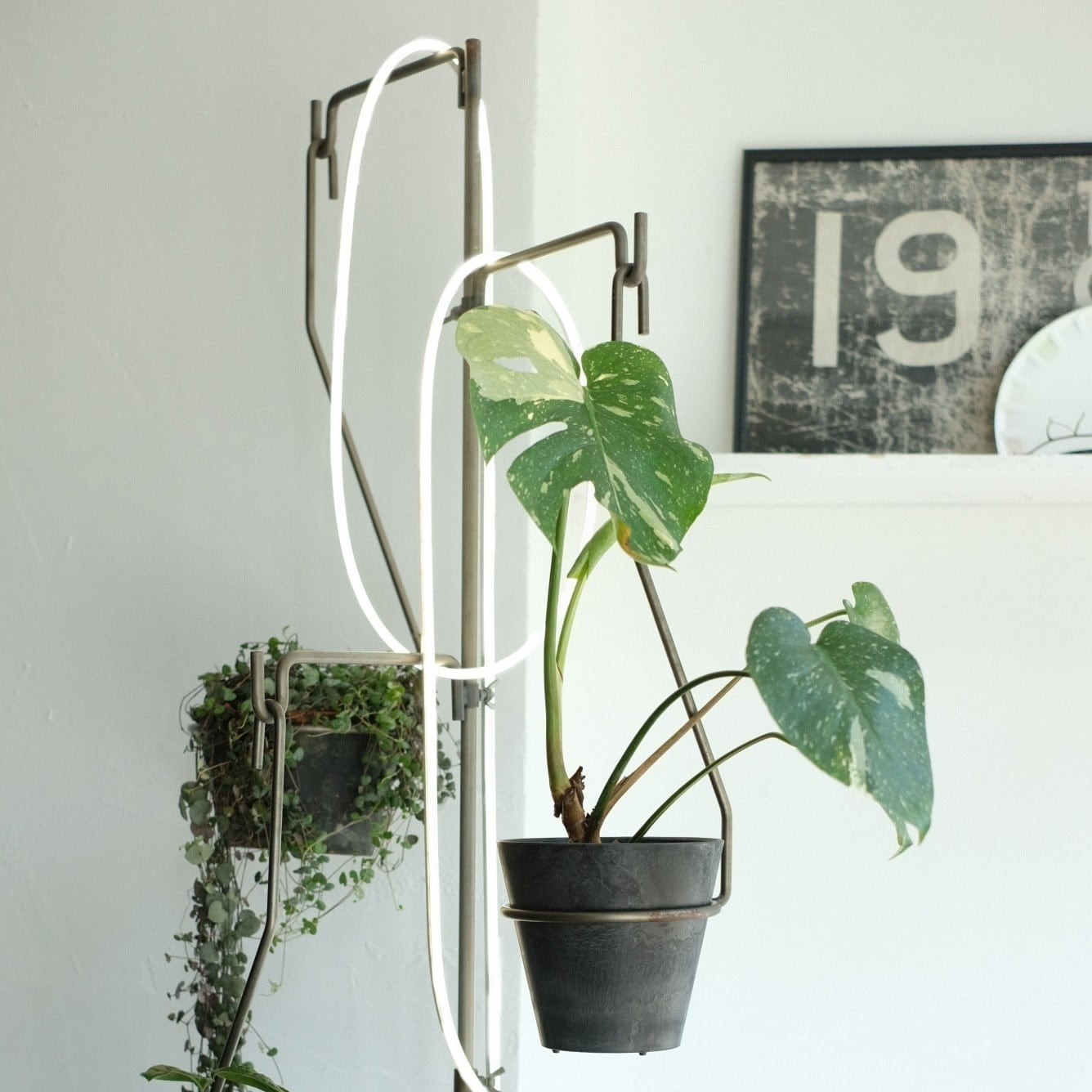 PLOP VERTICAL STAND