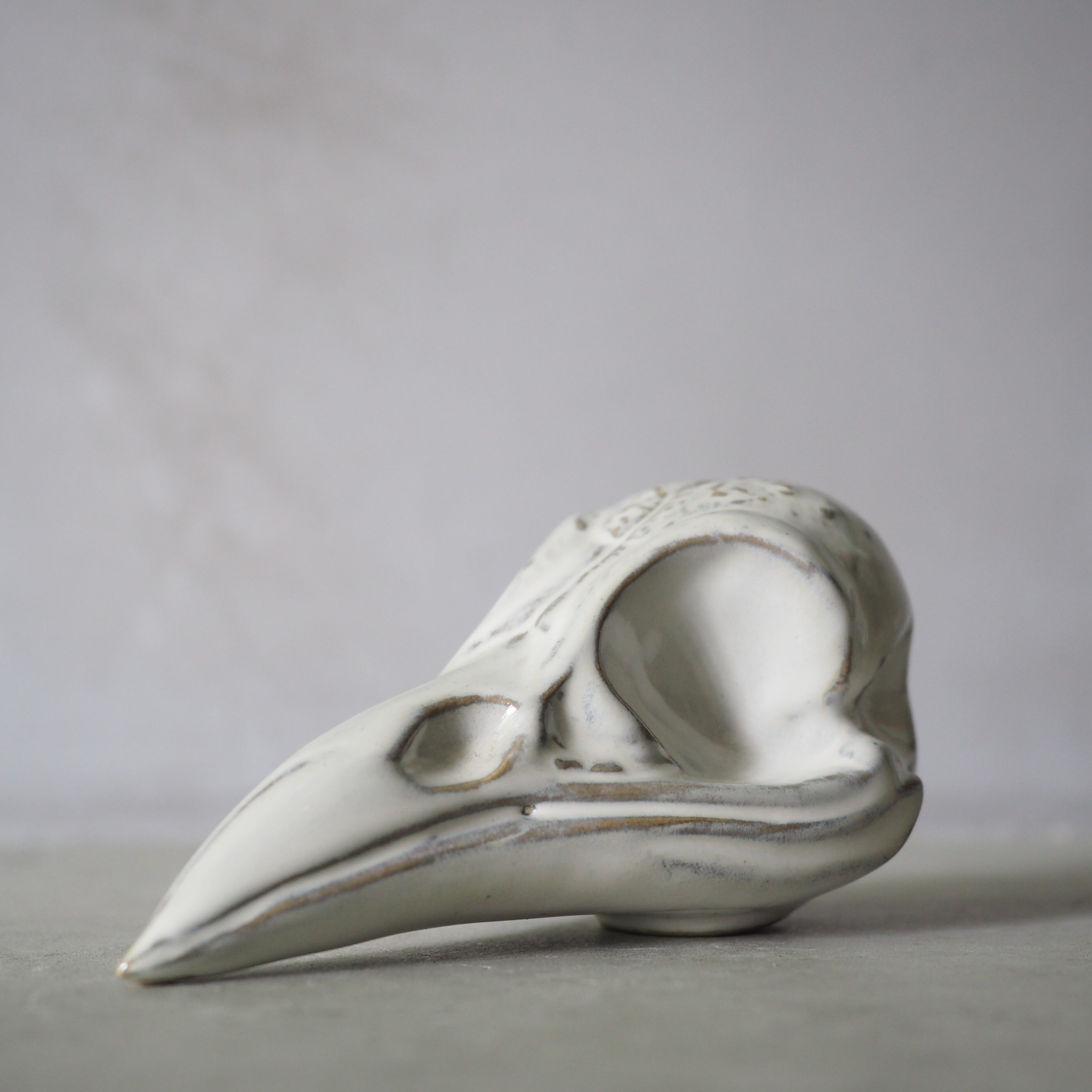 Crow Skull BSK-004