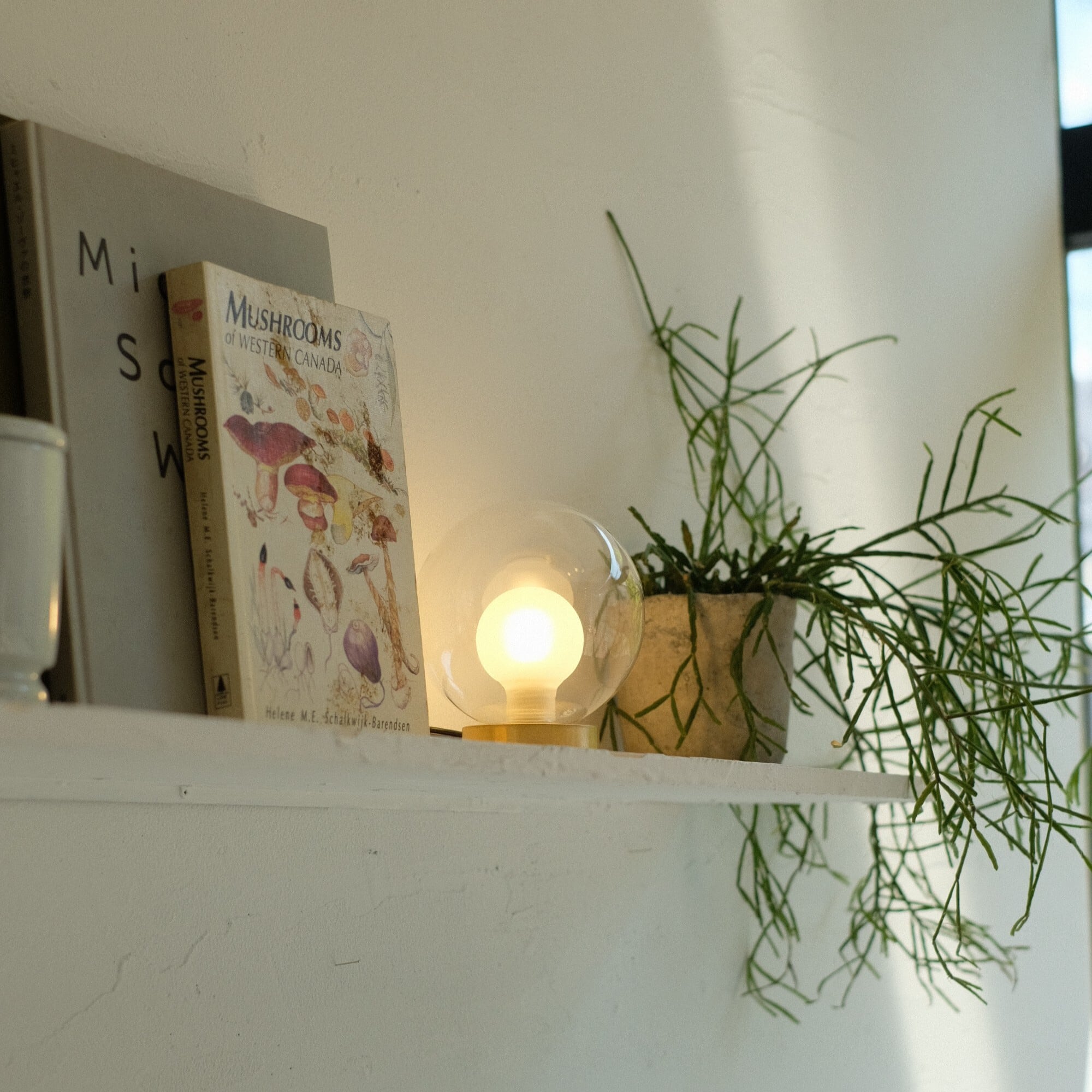 Ballm dome lamp