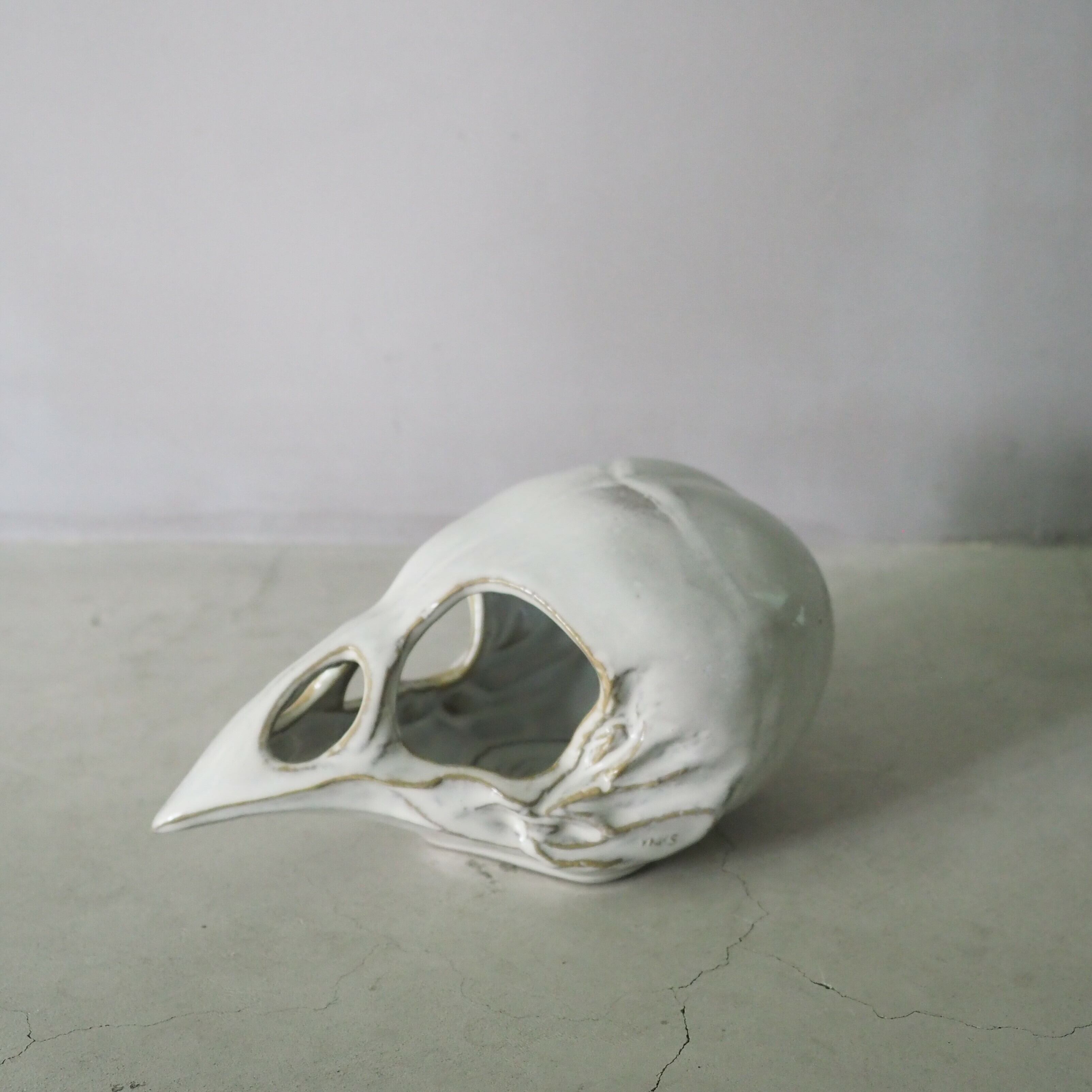 Bird Skull Eye Socket BSK-001