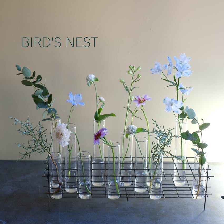 BIRD'S NEST L　GLASS TEST TUBE VASE