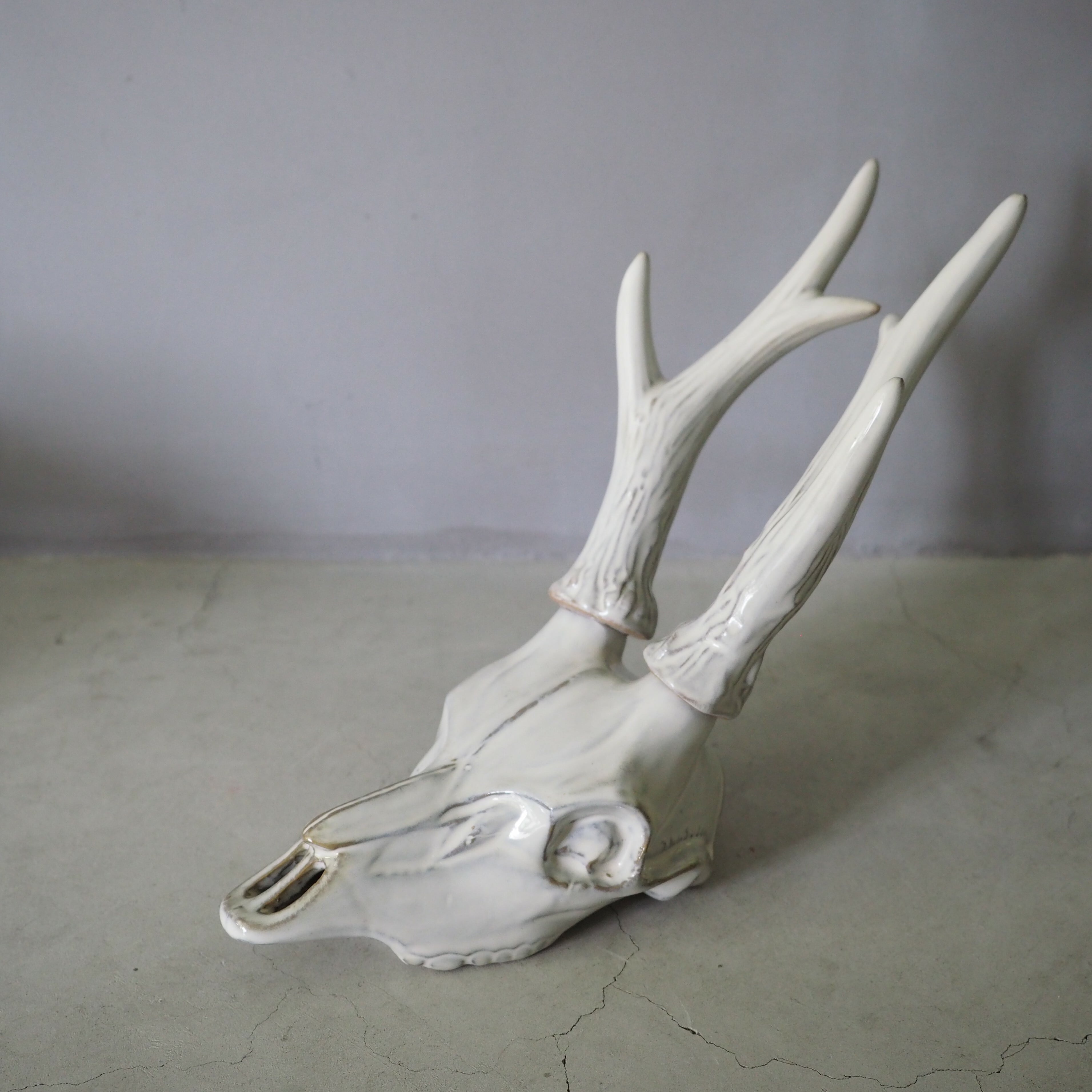 Deer Skull DS-001