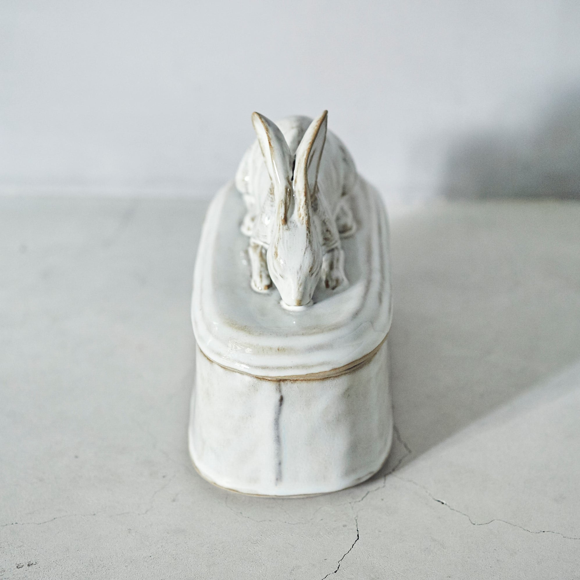 Rabbit Container PP-021