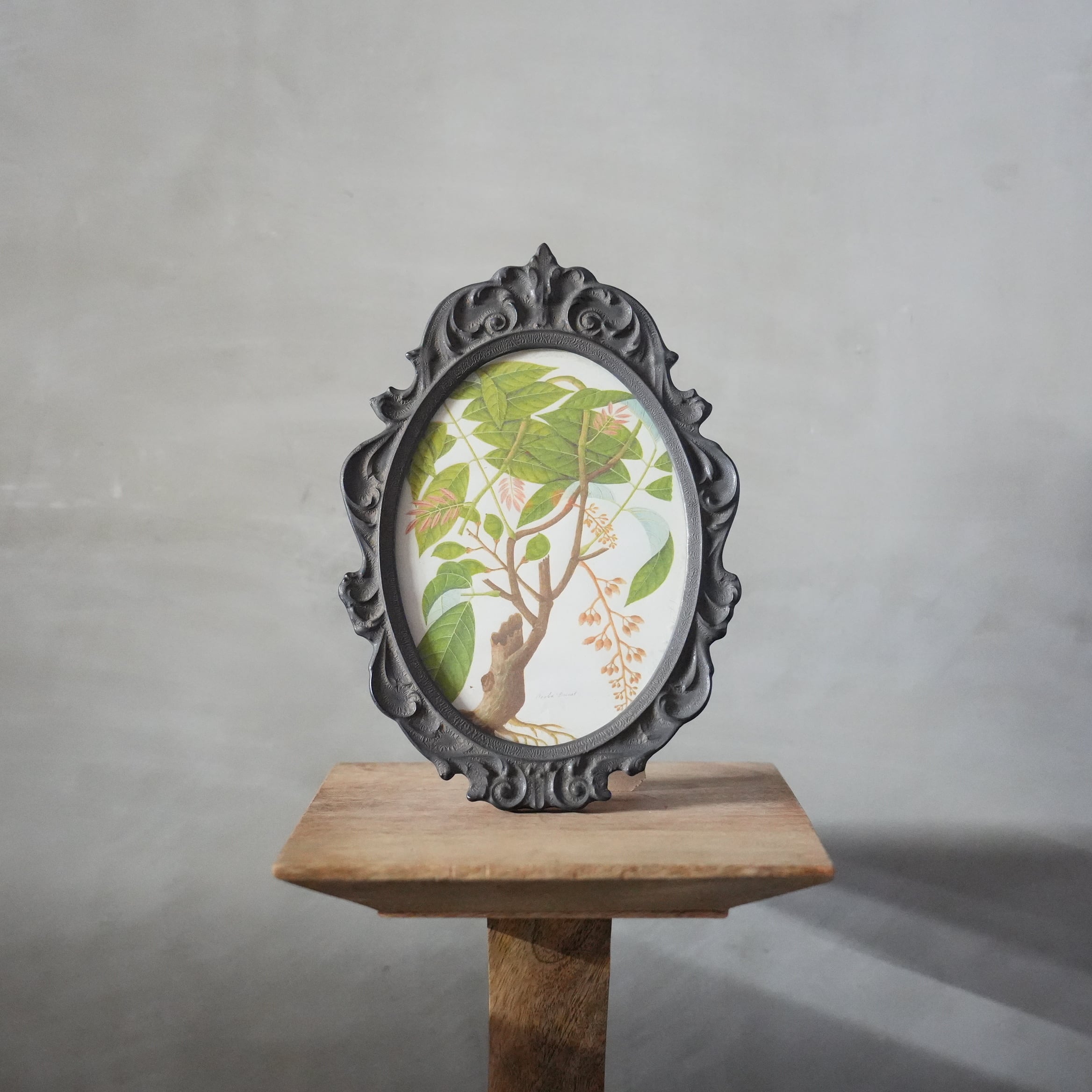 Ornament Frame Black　CF-004-04