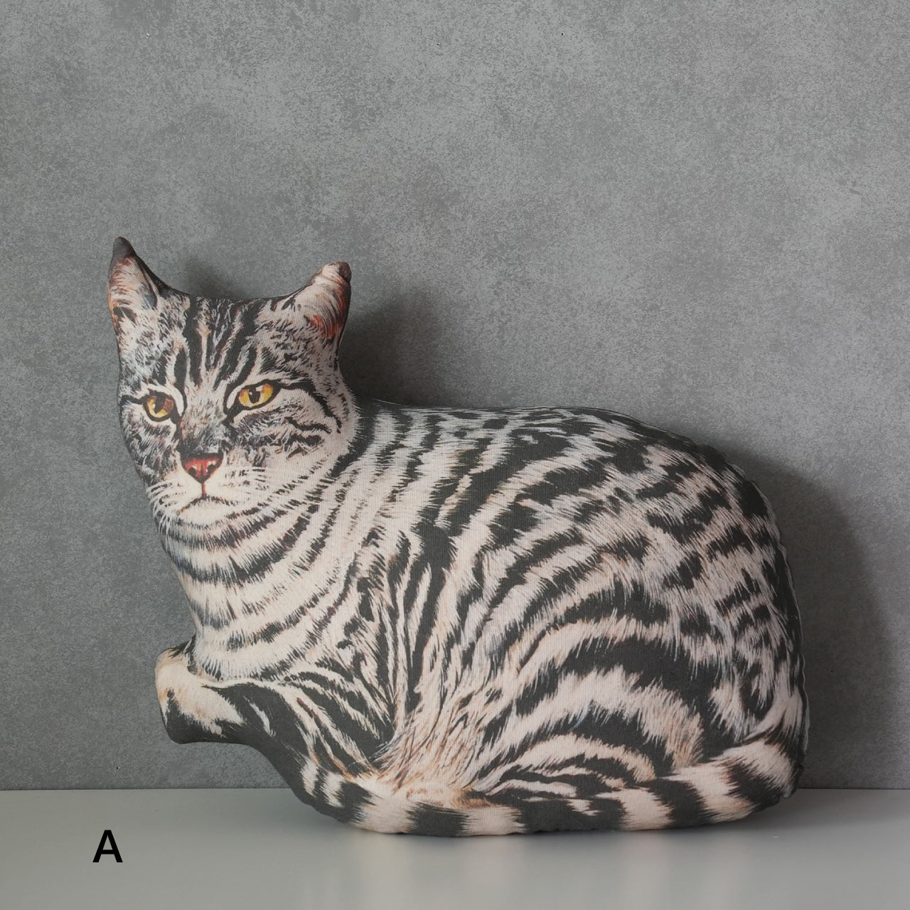 Cat Cushion