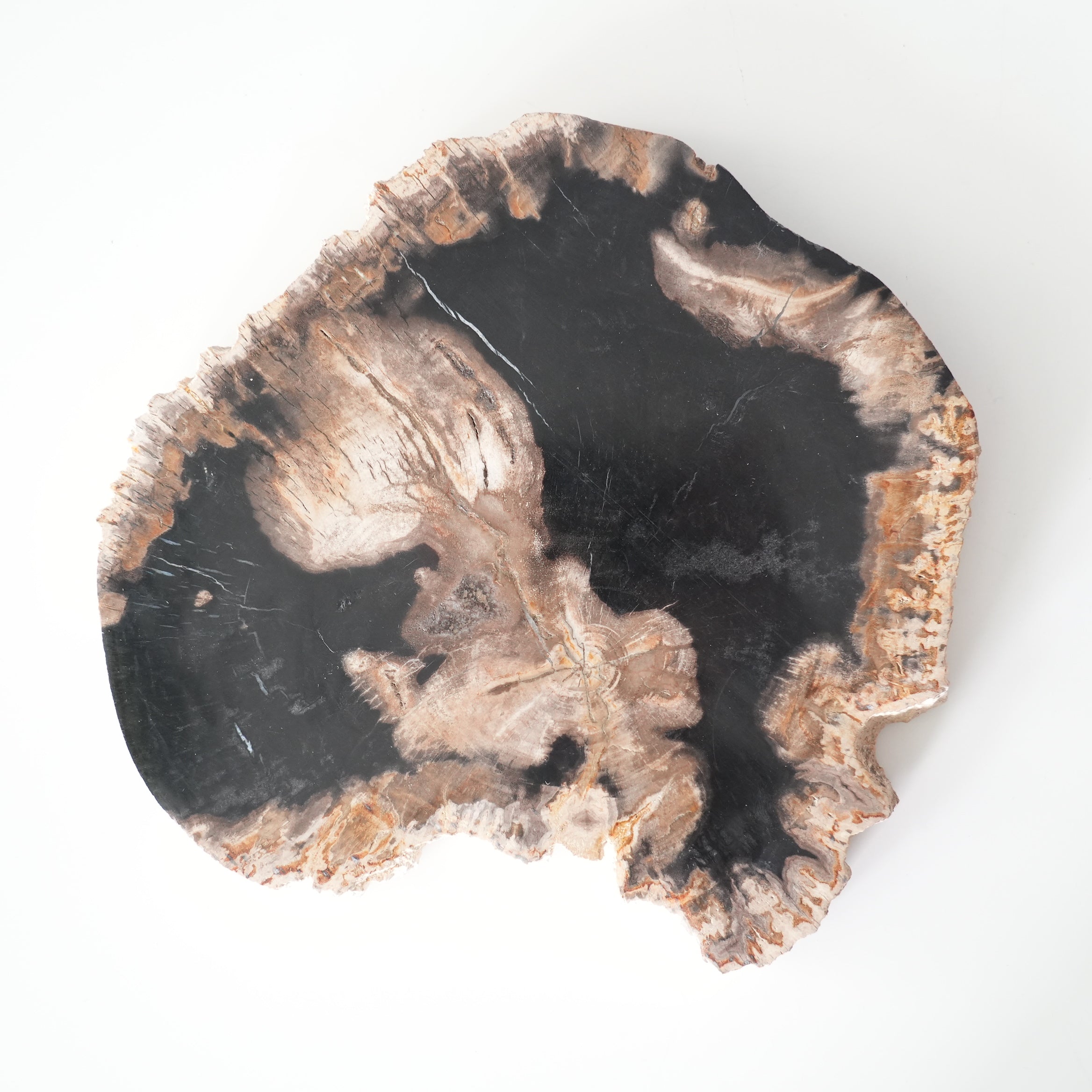 Wood Plate 20 Black A