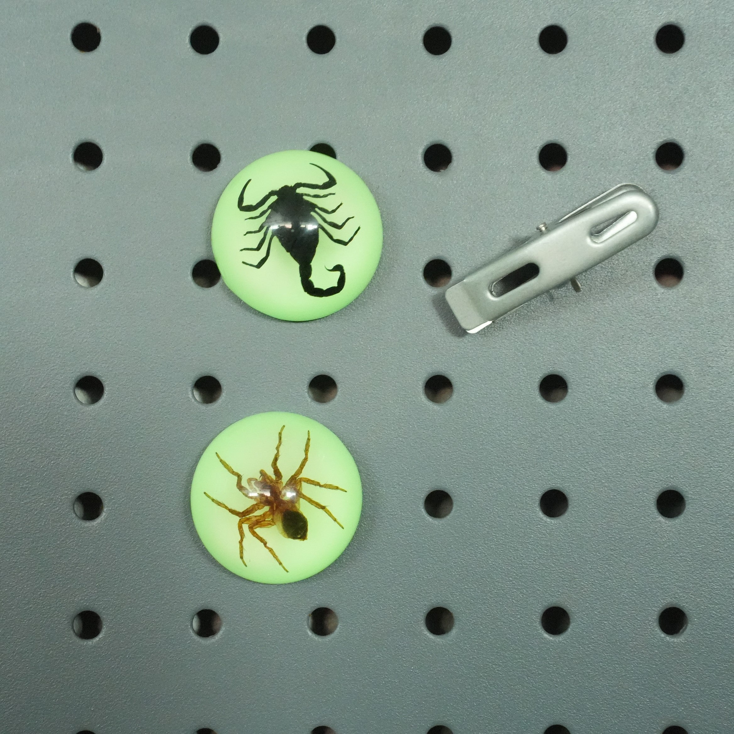 SCORPION＆SPIDER MAGNET GID