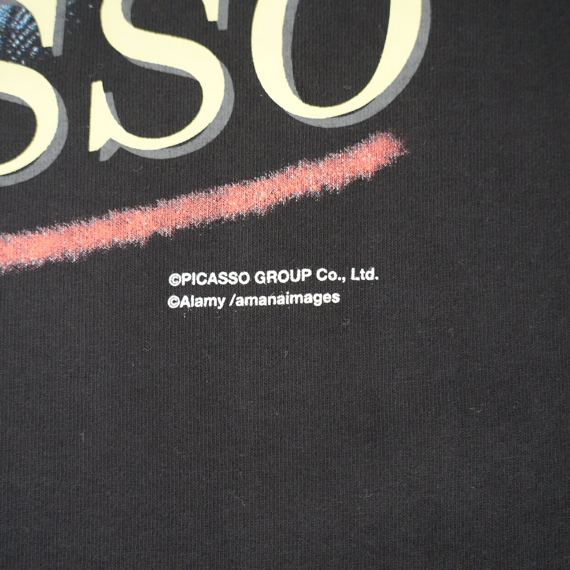 PICASSO VINTAGE PHOTO TEE