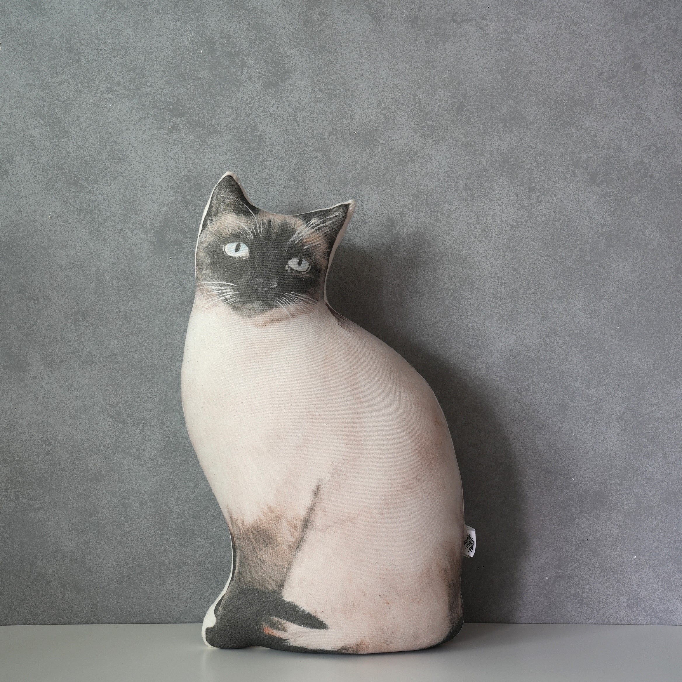 Cat Cushion
